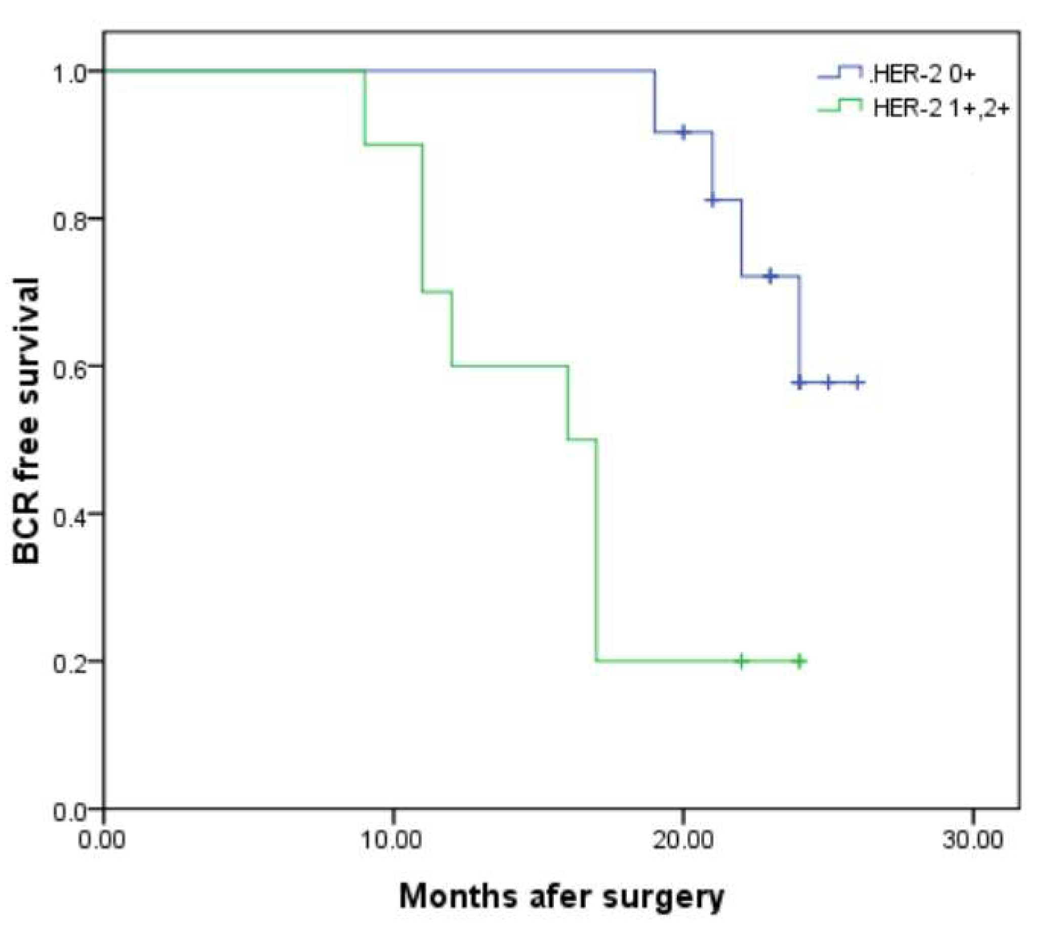 Diagnostics 15 02717 g001 Diagnostics 15 02717 g001