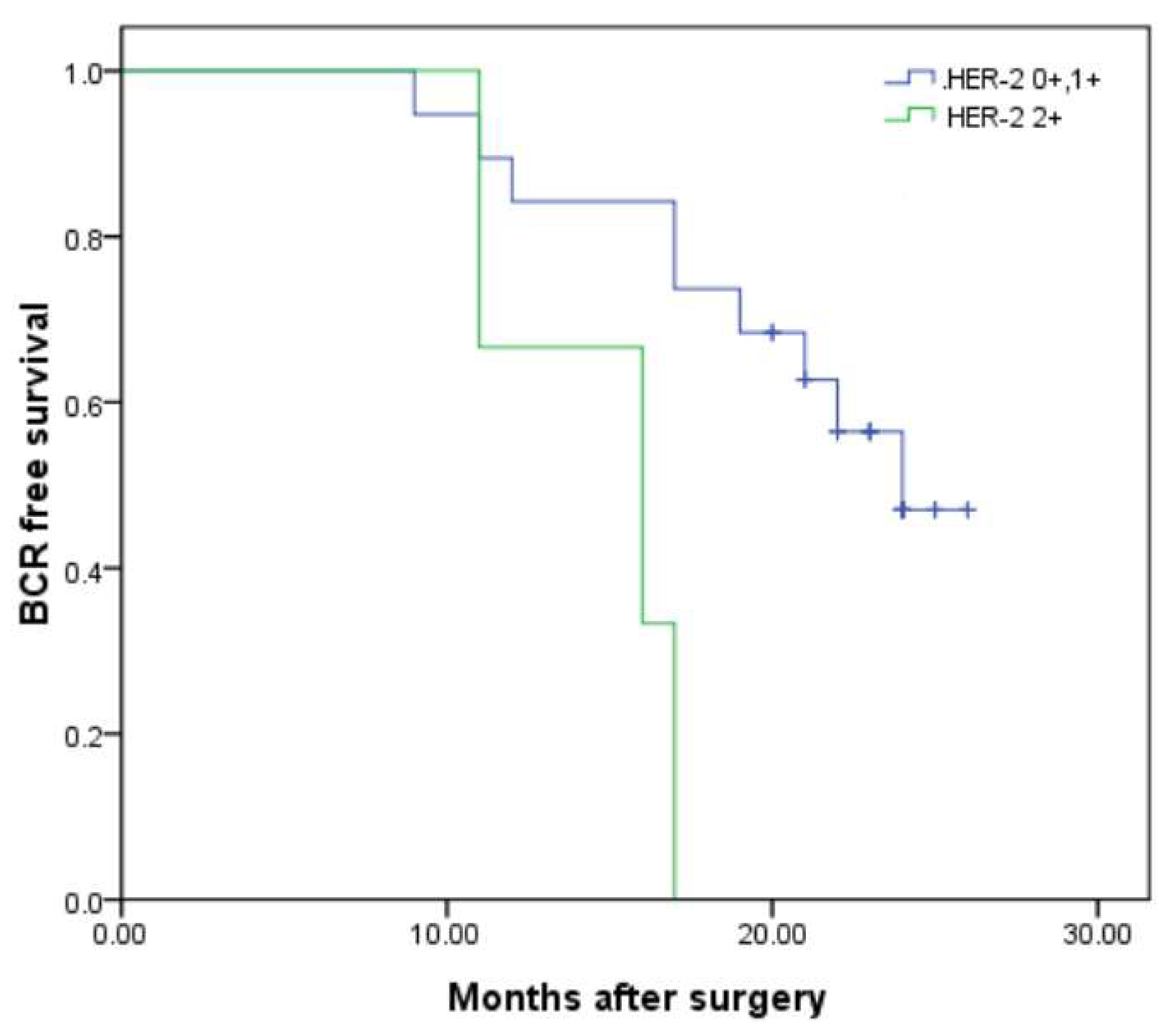 Diagnostics 15 02717 g002 Diagnostics 15 02717 g002