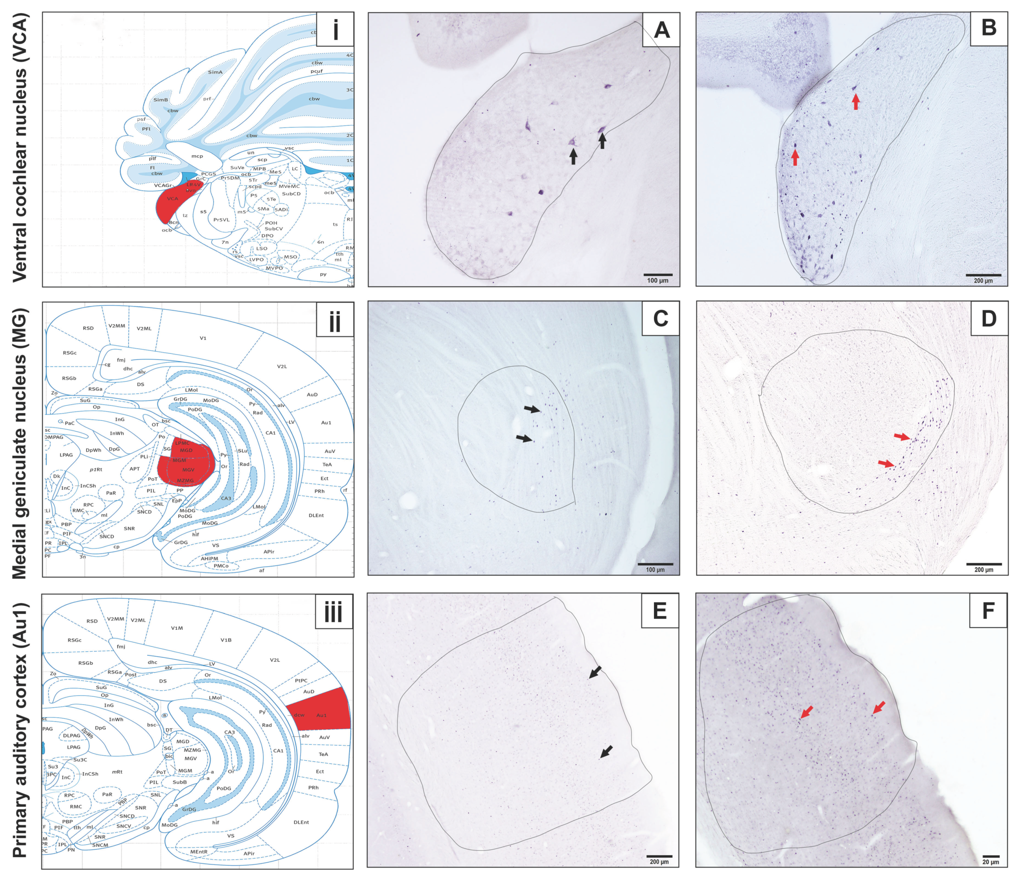 Diagnostics 15 02720 g003 Diagnostics 15 02720 g003