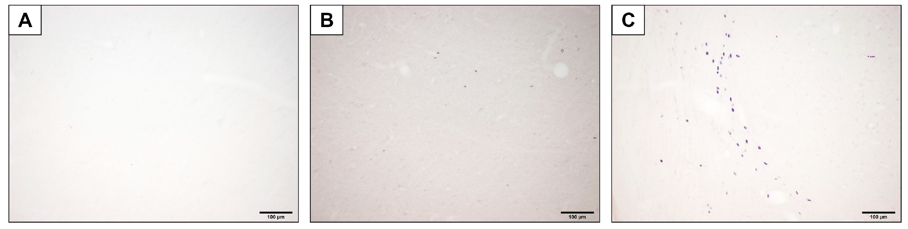 Diagnostics 15 02720 g004 Diagnostics 15 02720 g004