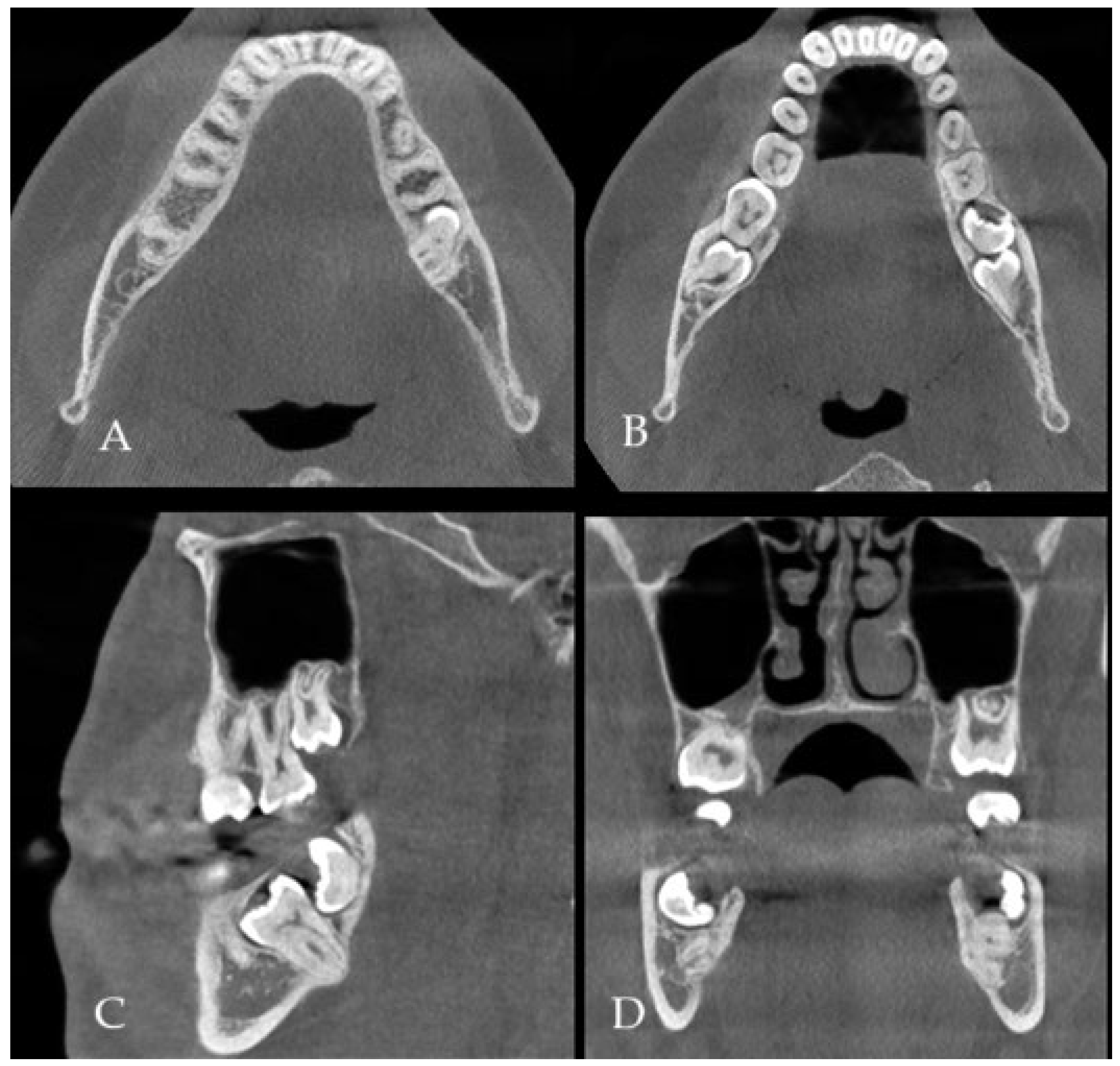 Diagnostics 15 02724 g001 Diagnostics 15 02724 g001