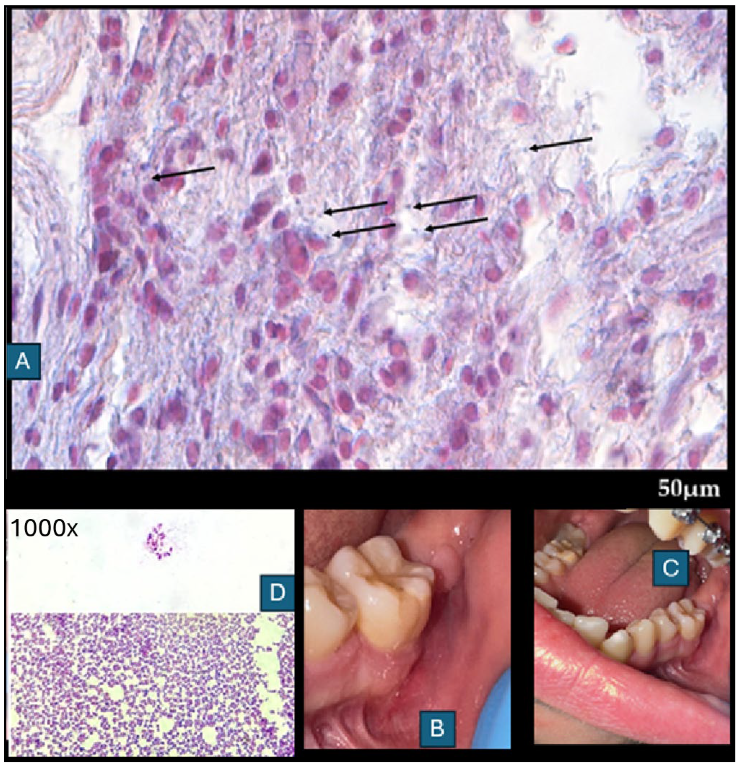 Diagnostics 15 02724 g005 Diagnostics 15 02724 g005