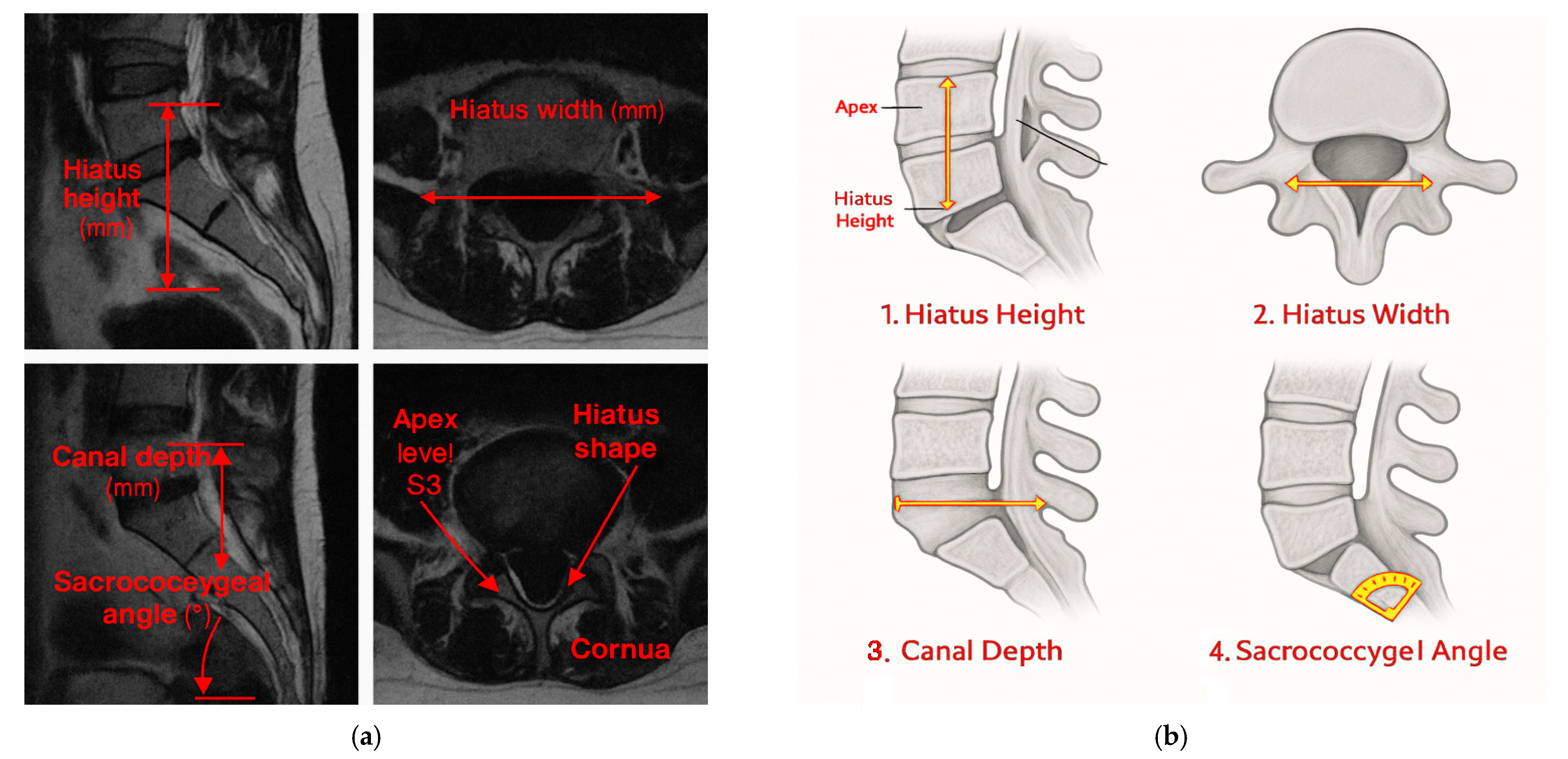 Diagnostics 15 02729 g003