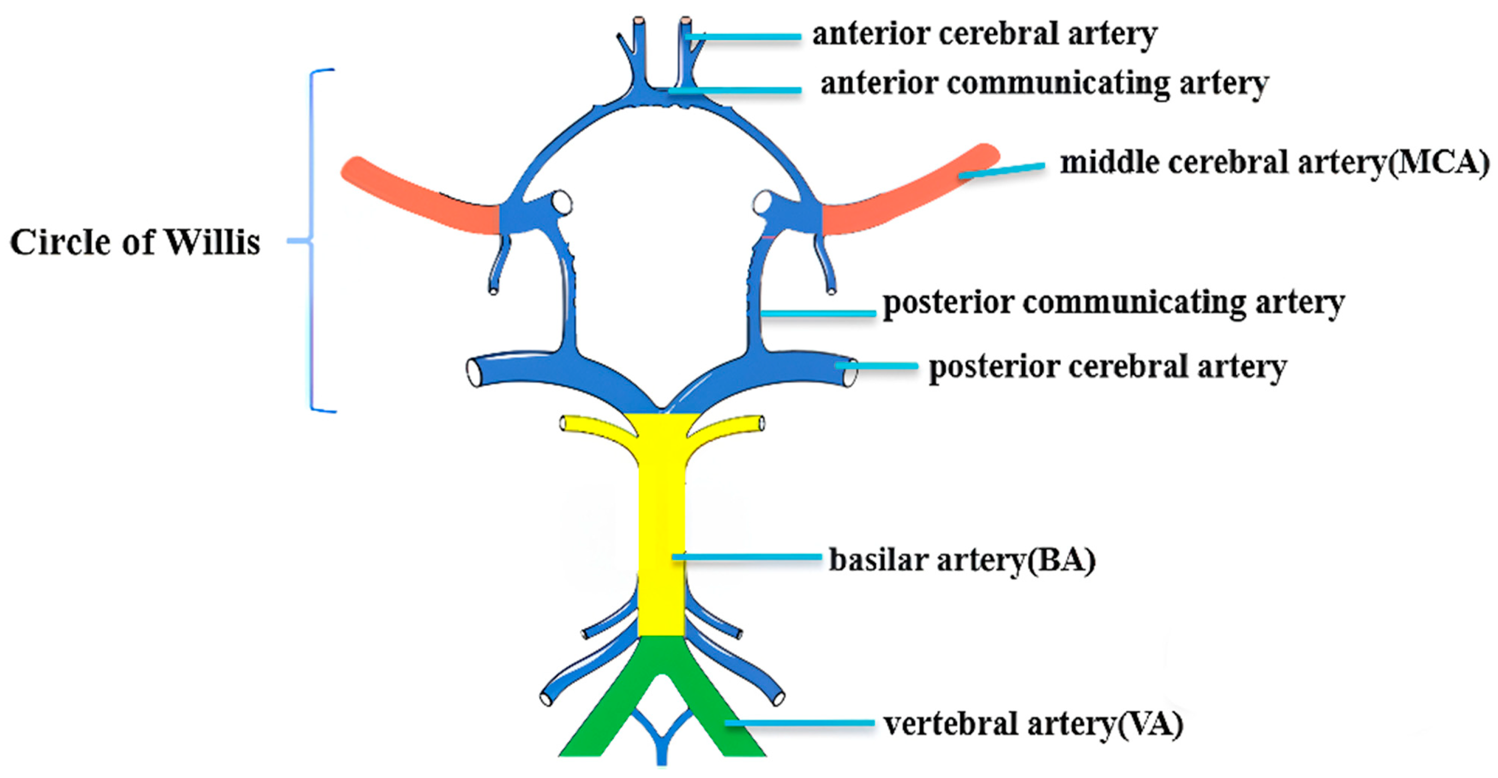 Diagnostics 15 02731 g002 Diagnostics 15 02731 g002