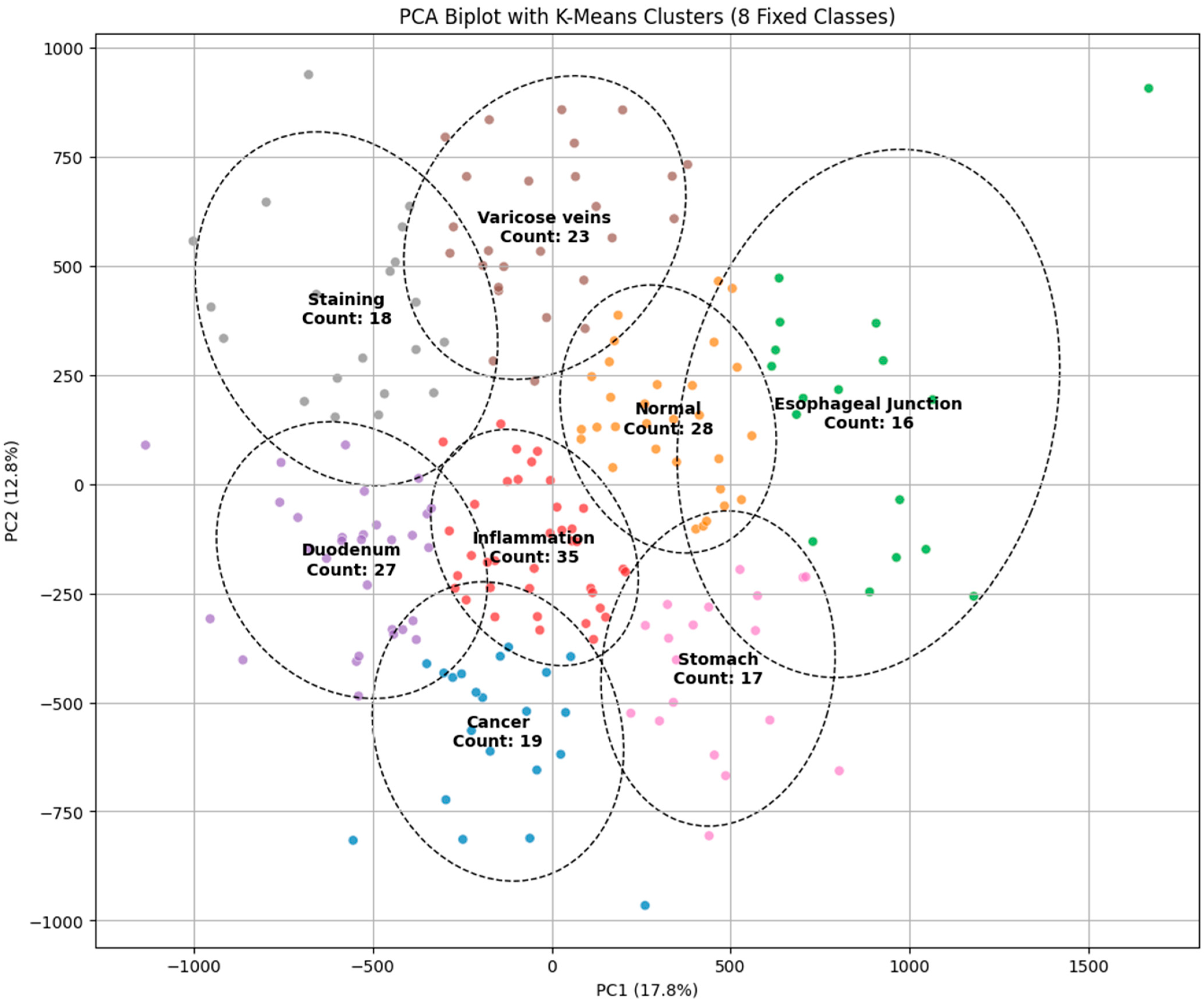 Diagnostics 15 02732 g001