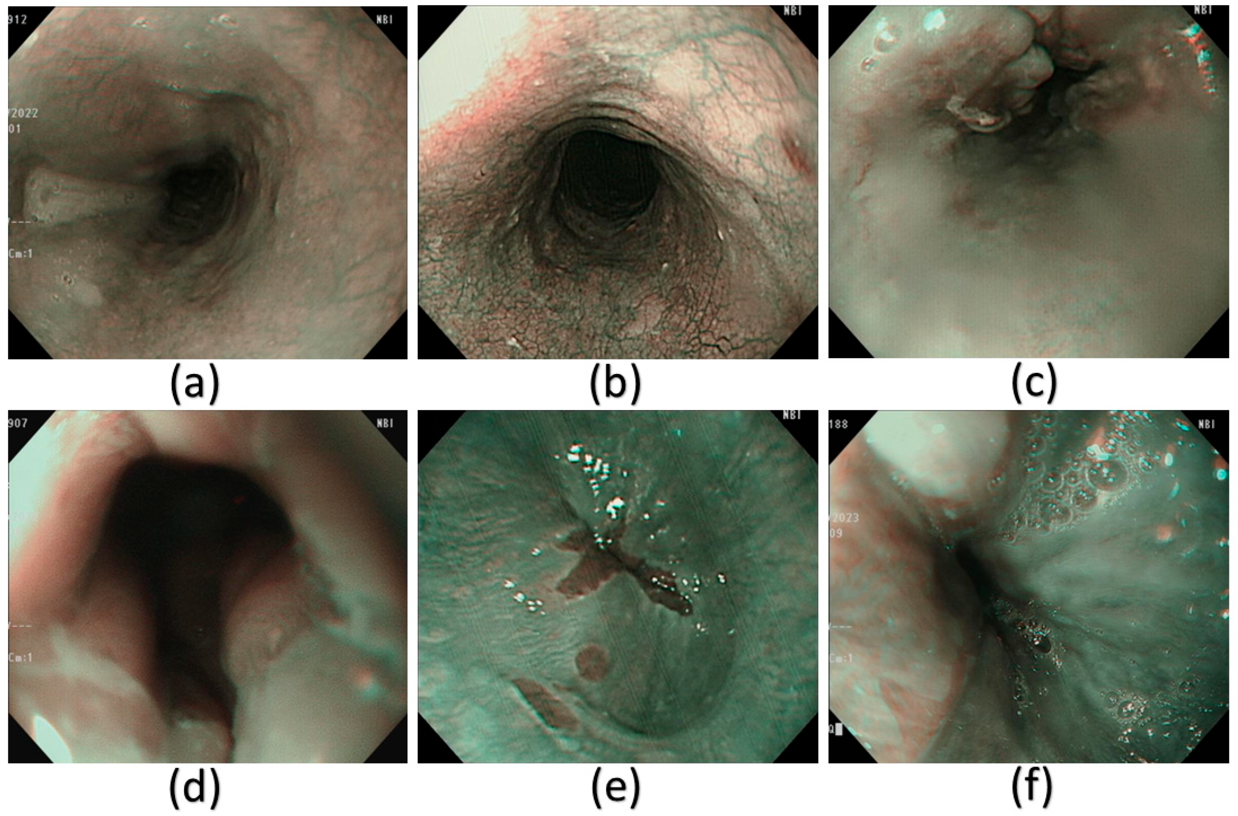 Diagnostics 15 02732 g005