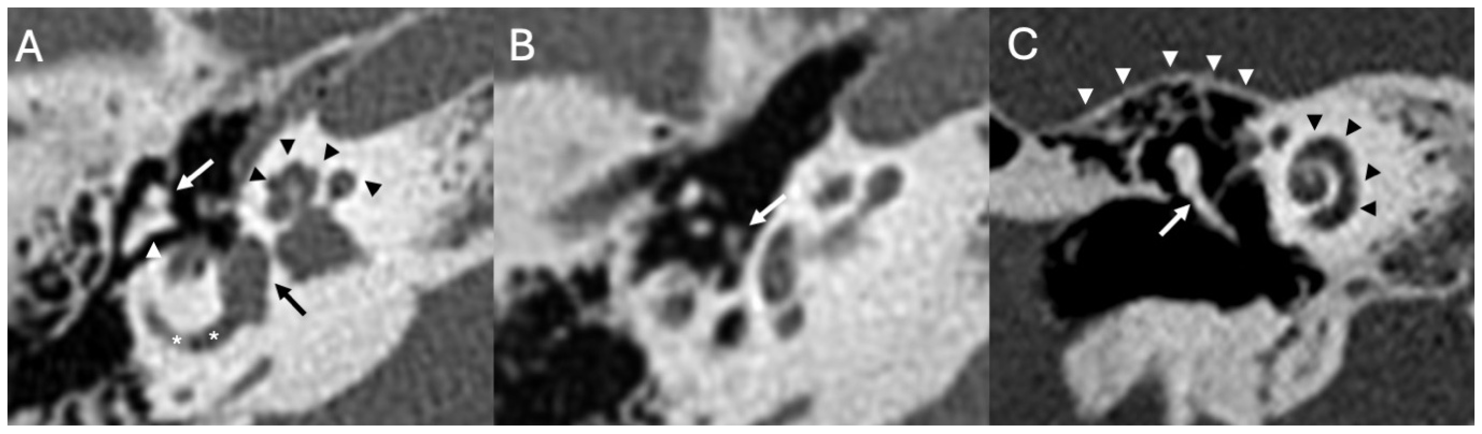 Diagnostics 15 02733 g001 Diagnostics 15 02733 g001