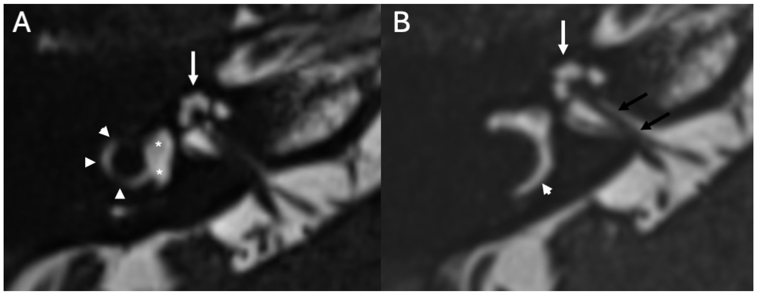 Diagnostics 15 02733 g002 Diagnostics 15 02733 g002