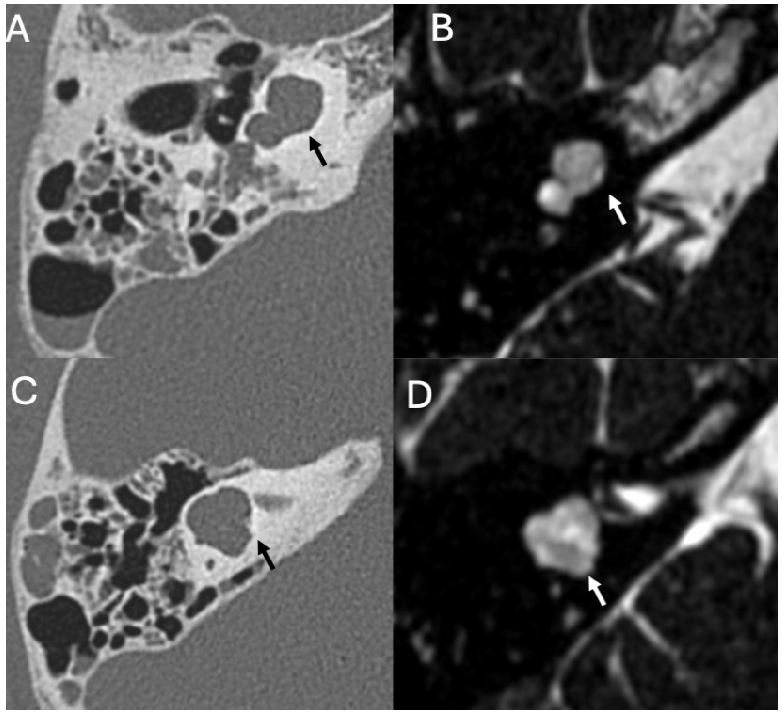 Diagnostics 15 02733 g003 Diagnostics 15 02733 g003