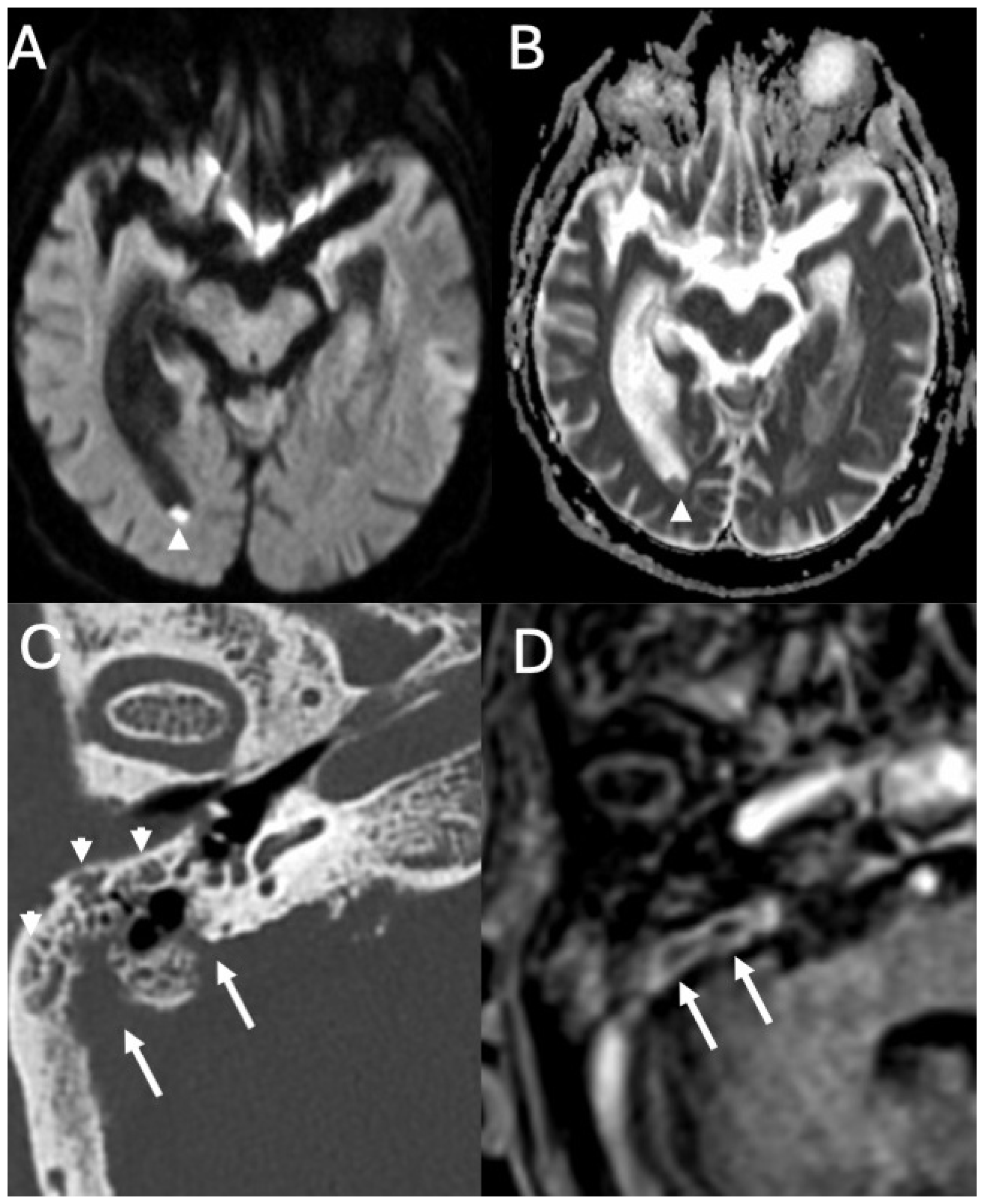 Diagnostics 15 02733 g006 Diagnostics 15 02733 g006