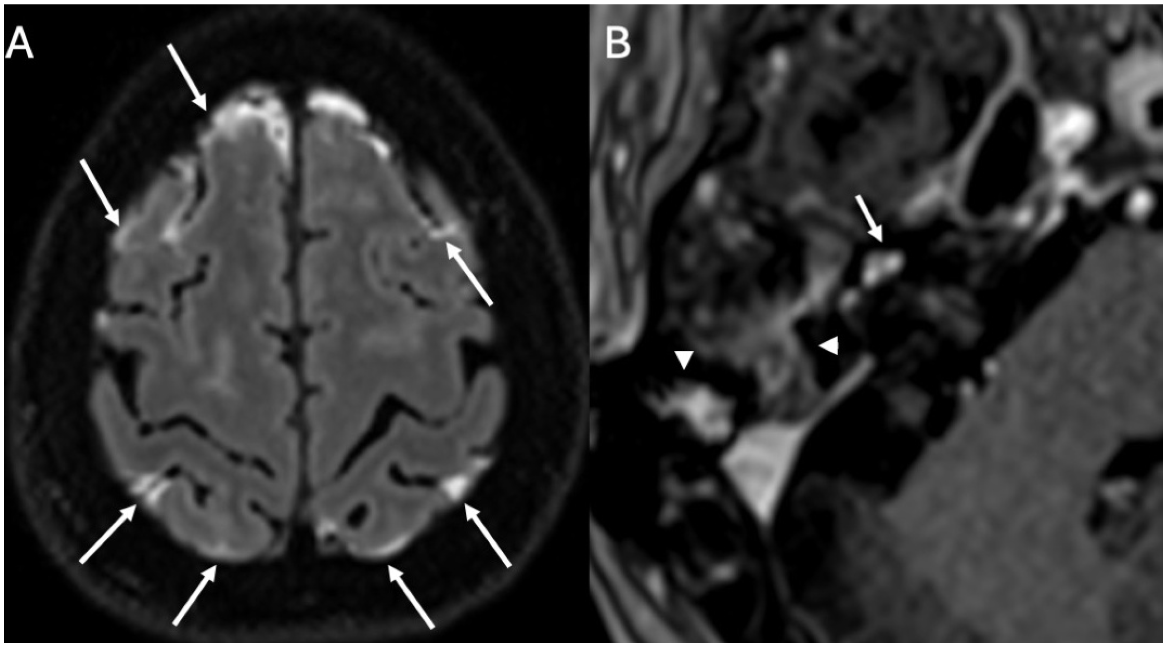 Diagnostics 15 02733 g010 Diagnostics 15 02733 g010
