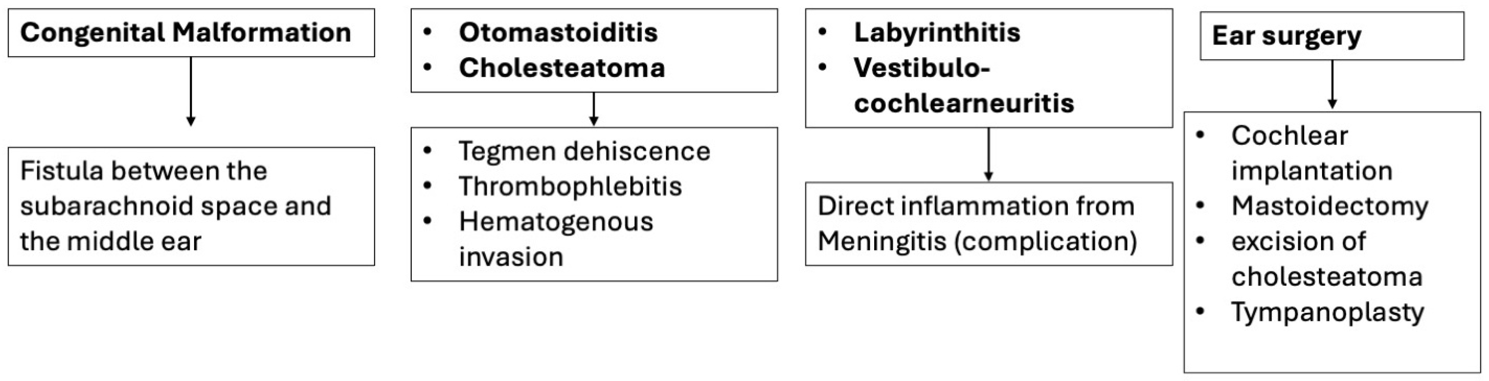 Diagnostics 15 02733 g013 Diagnostics 15 02733 g013