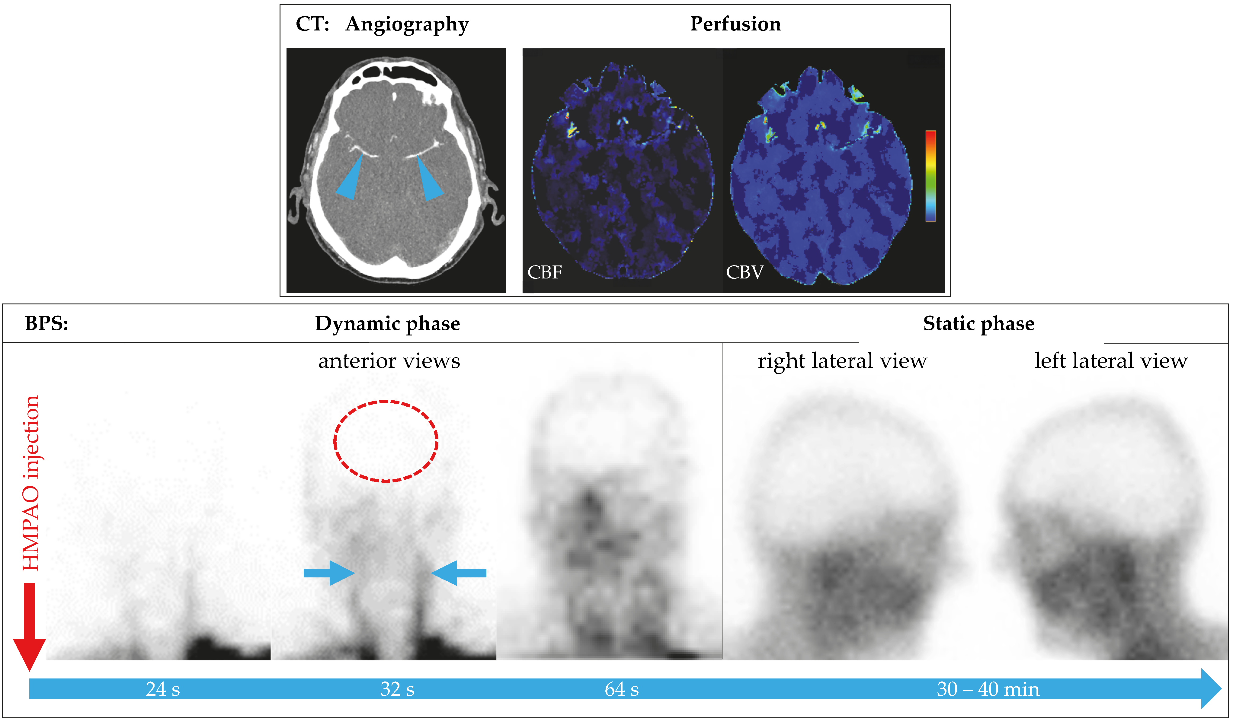 Diagnostics 15 02734 g002 Diagnostics 15 02734 g002