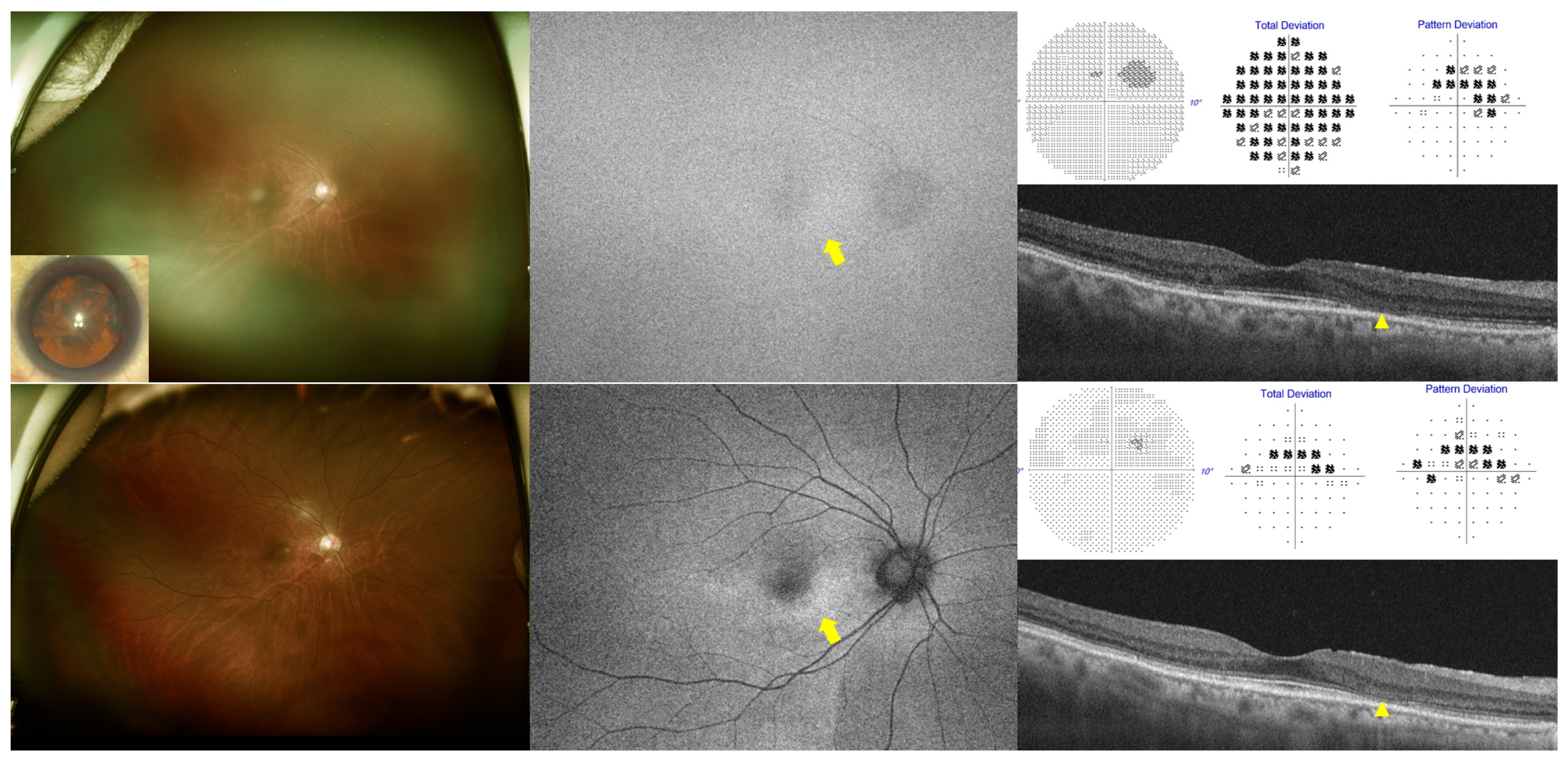 Diagnostics 15 02736 g001 Diagnostics 15 02736 g001