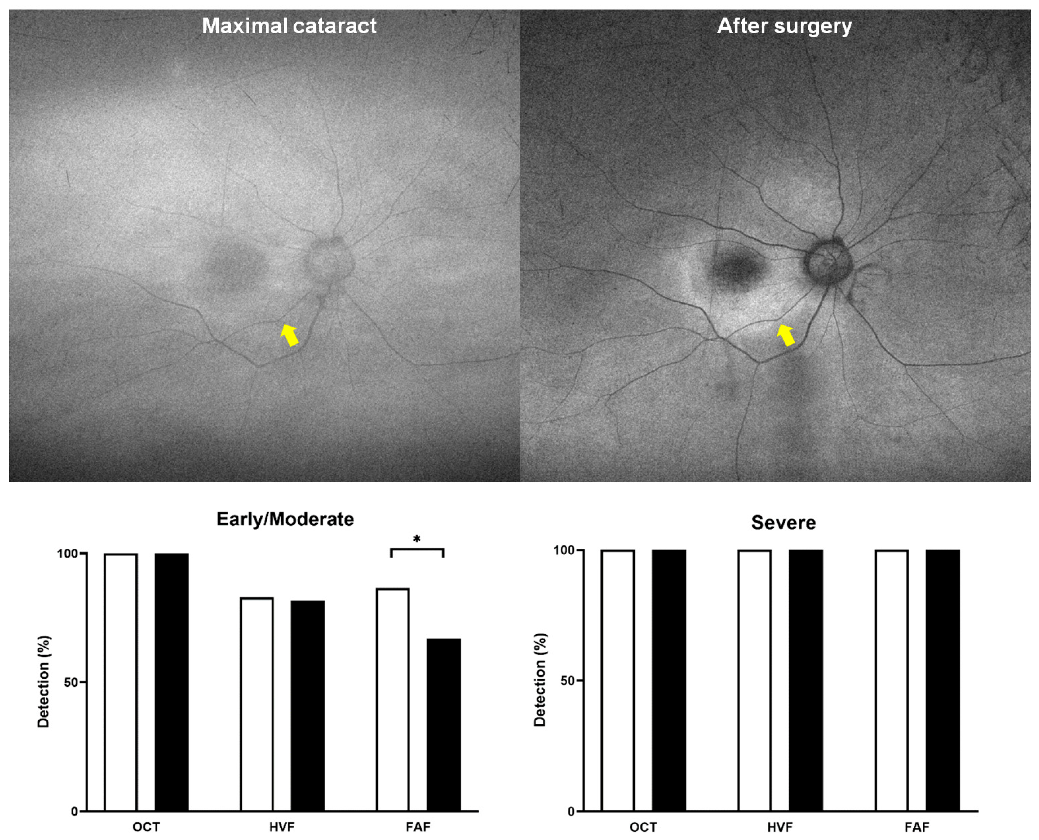 Diagnostics 15 02736 g004 Diagnostics 15 02736 g004