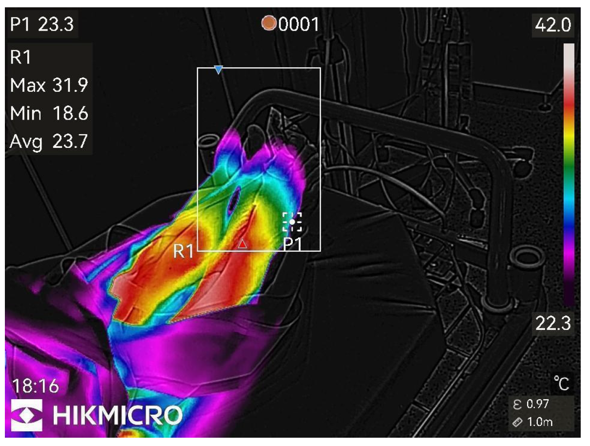 Diagnostics 15 02743 g001 Diagnostics 15 02743 g001