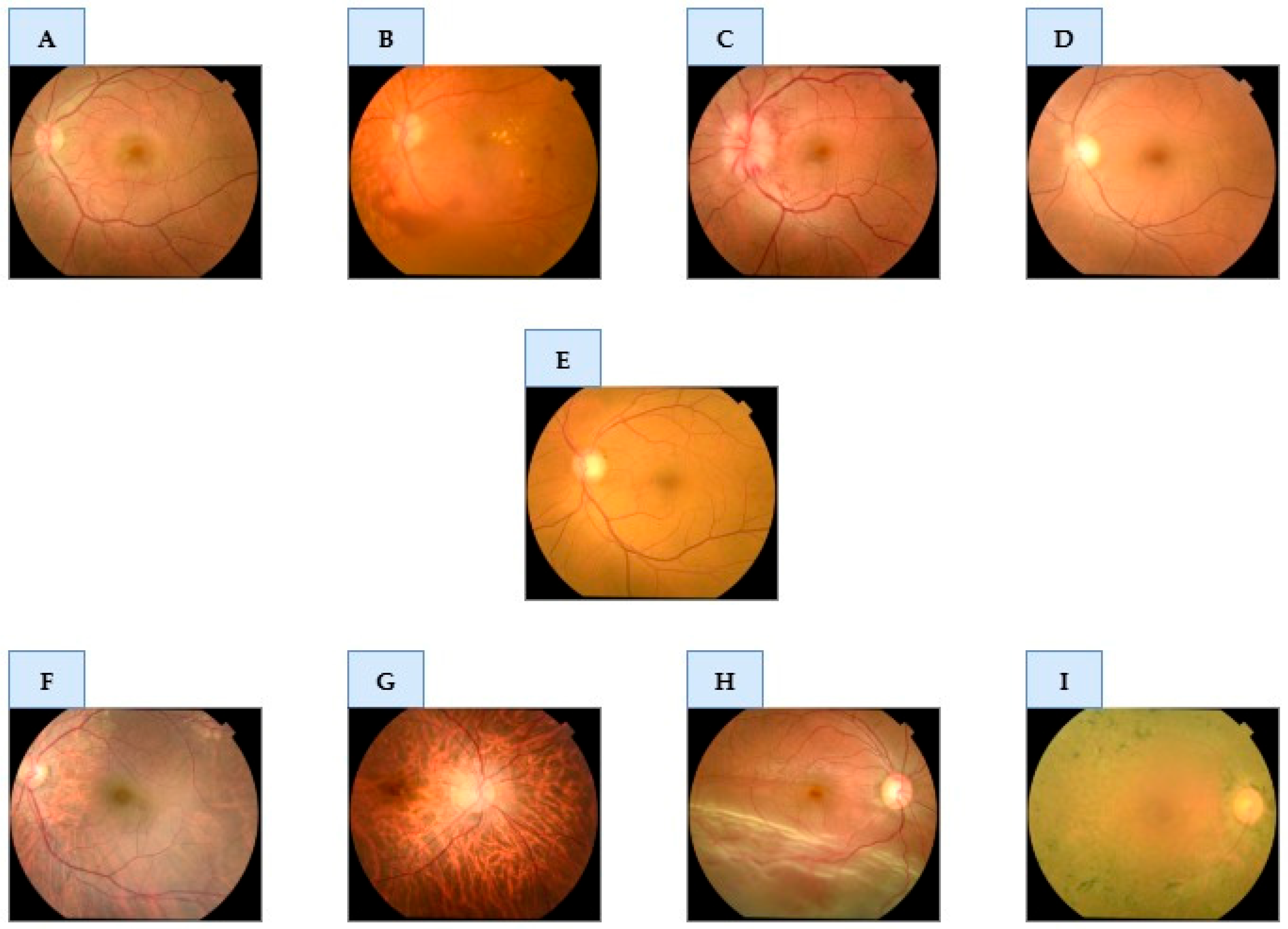 Diagnostics 15 02745 g001