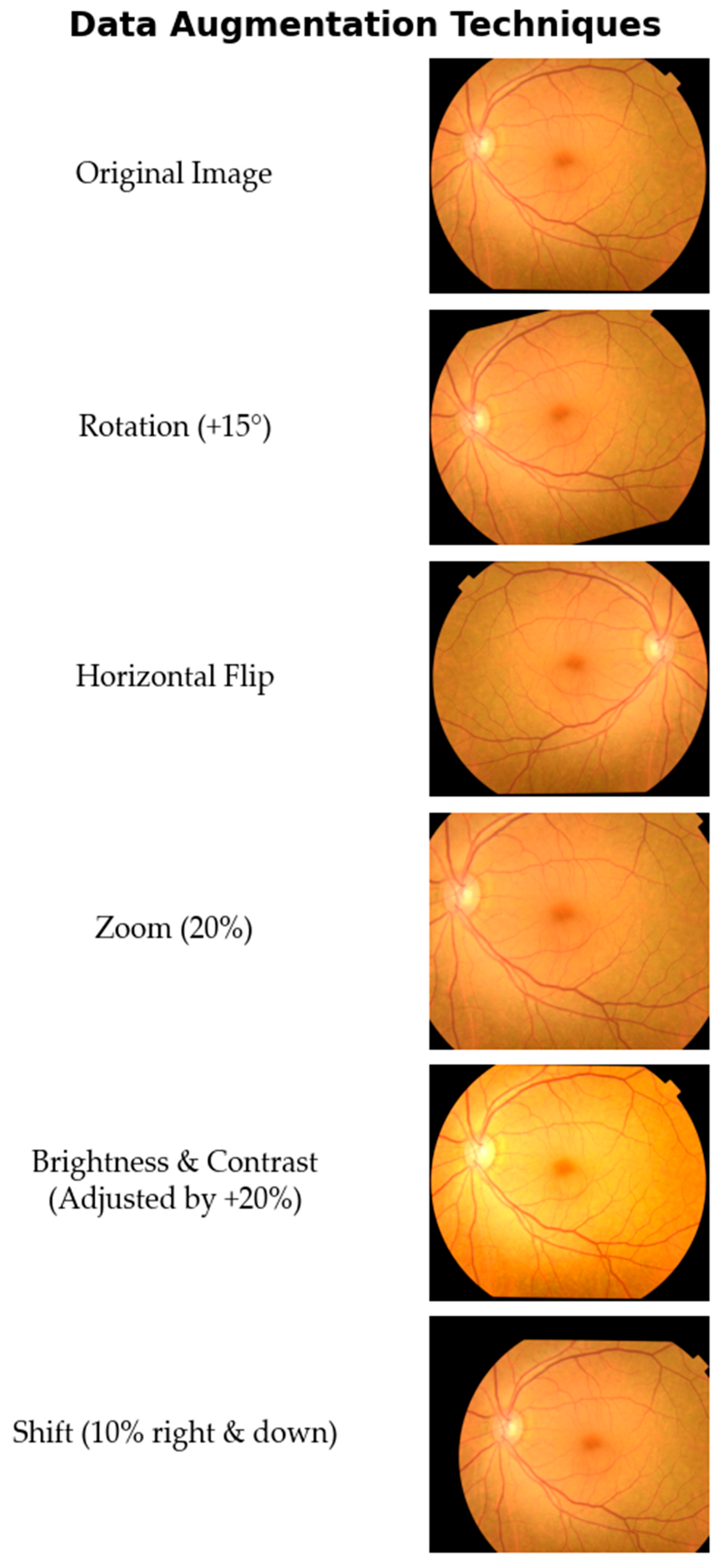 Diagnostics 15 02745 g002