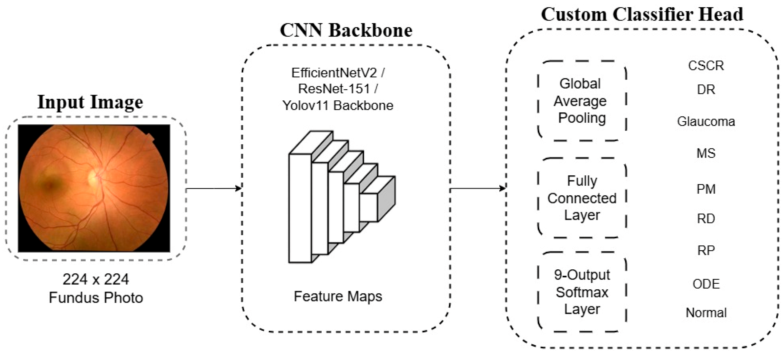 Diagnostics 15 02745 g003