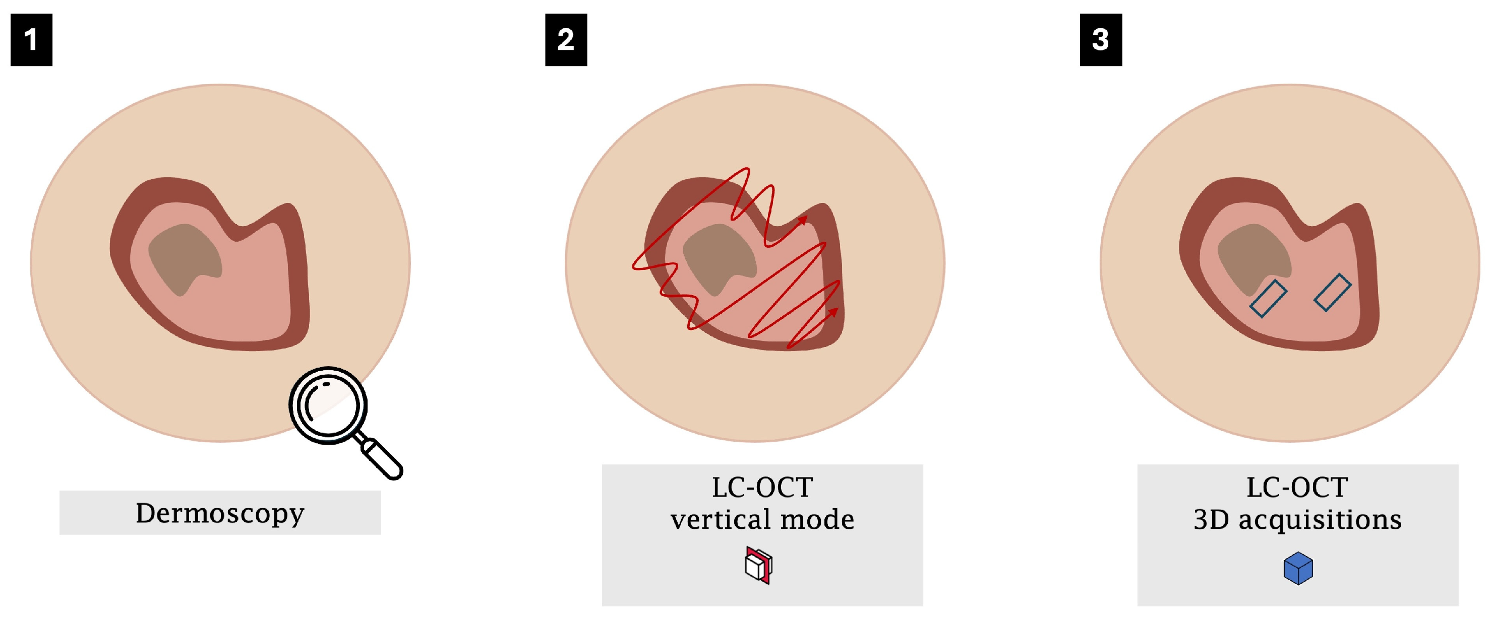 Diagnostics 15 02746 g003 Diagnostics 15 02746 g003