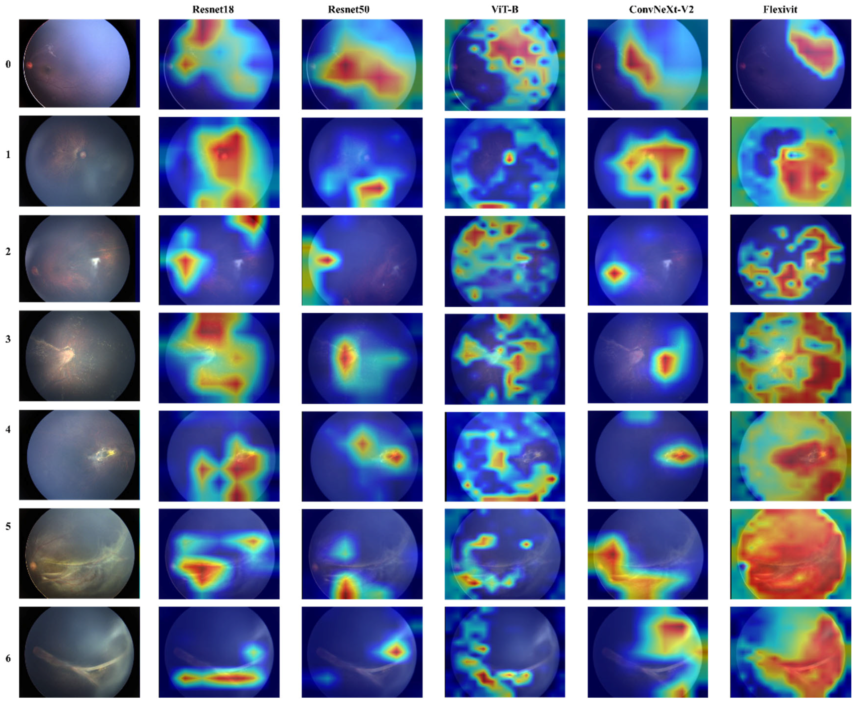 Diagnostics 15 02752 g004