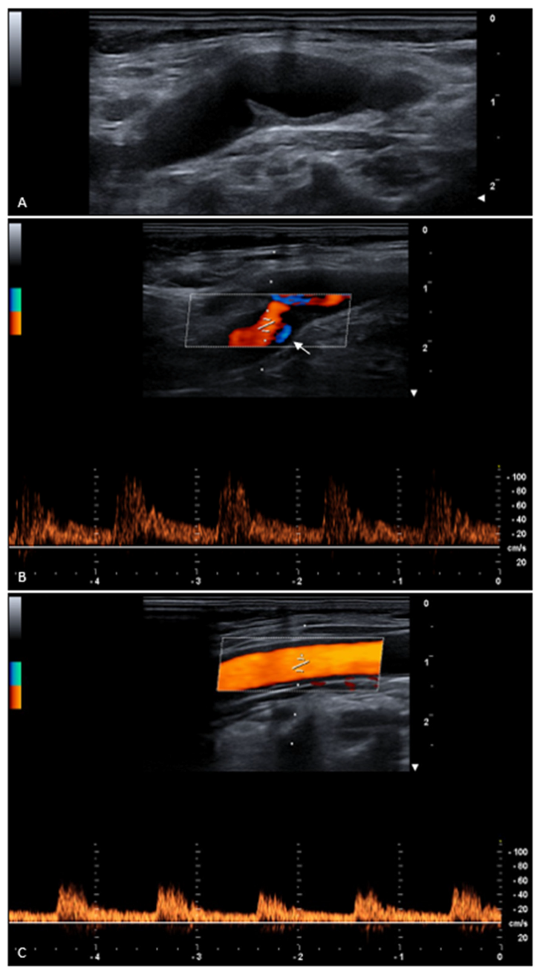 Diagnostics 15 02756 g001 Diagnostics 15 02756 g001