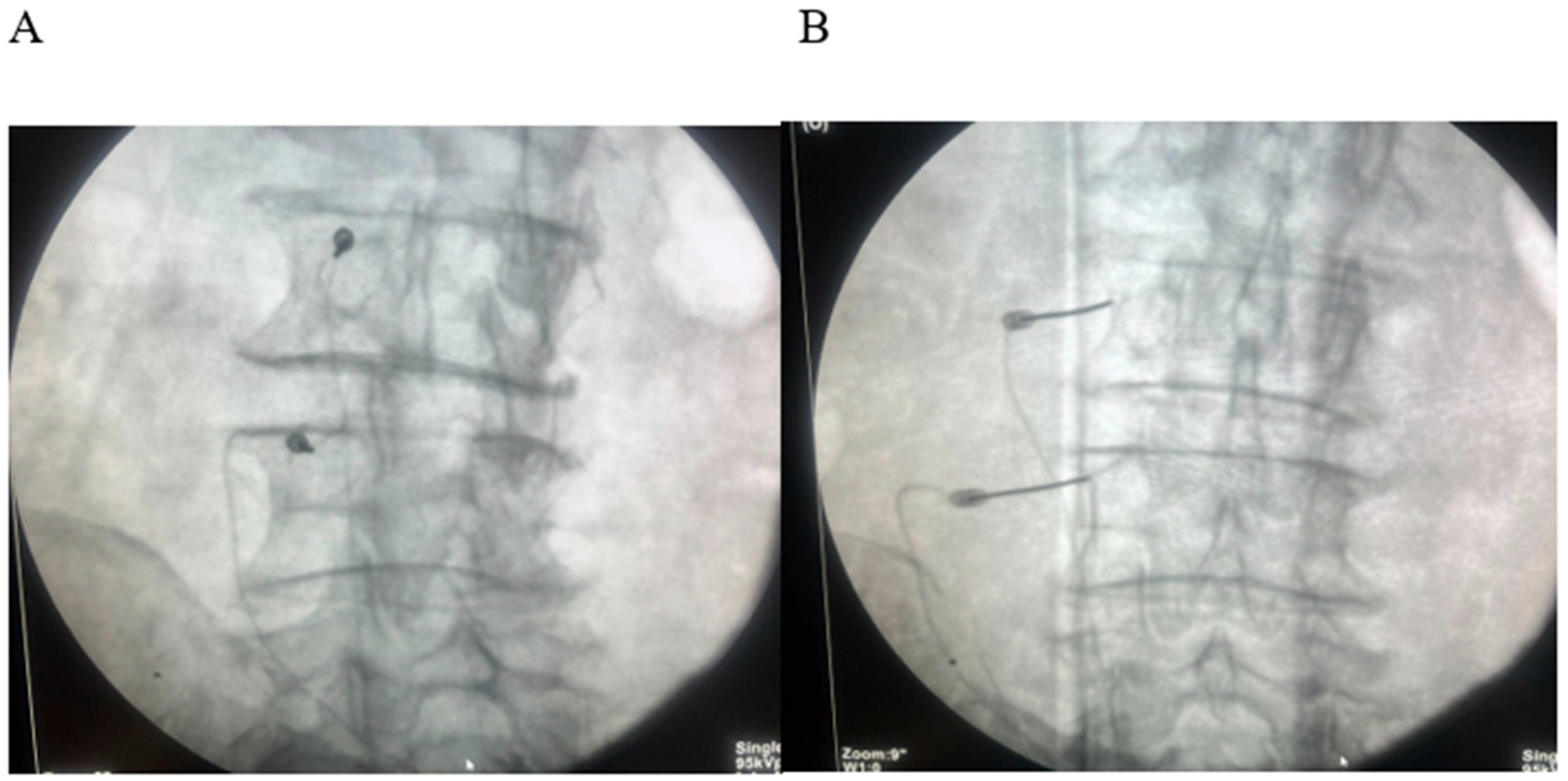 Diagnostics 15 02758 g002 Diagnostics 15 02758 g002