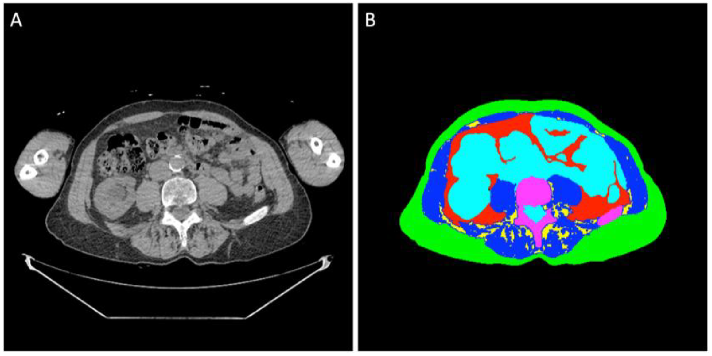 Diagnostics 15 02760 g001