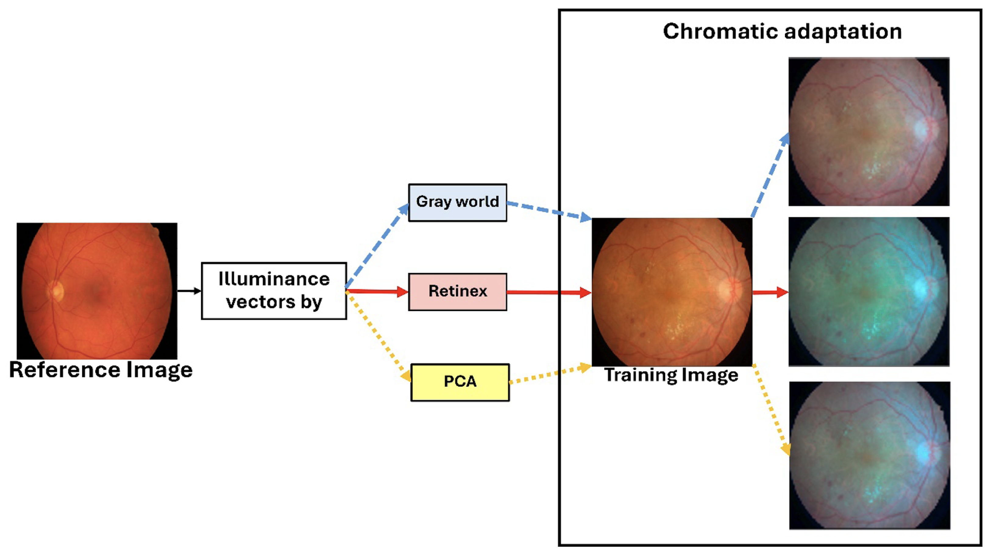 Diagnostics 15 02762 g004