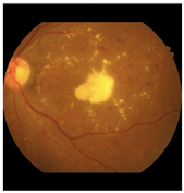 Diagnostics 15 02762 i001