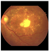 Diagnostics 15 02762 i003