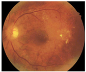 Diagnostics 15 02762 i009