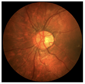 Diagnostics 15 02762 i011