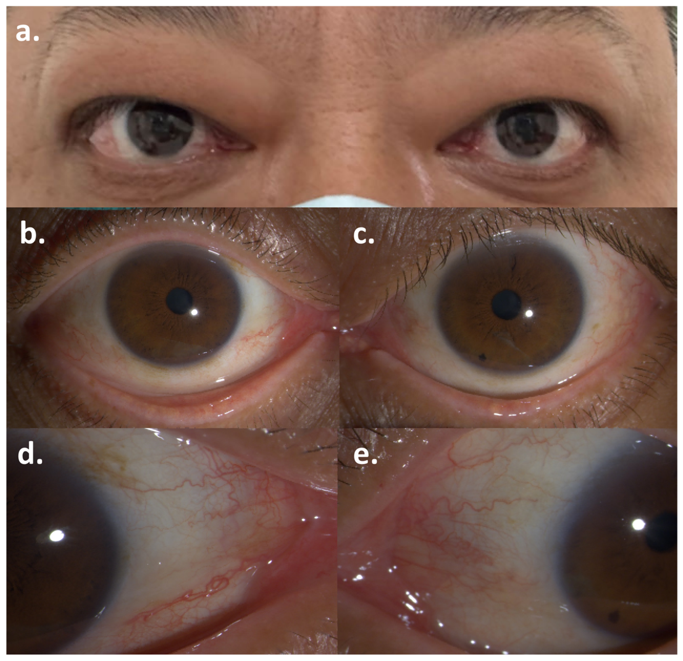 Diagnostics 15 02764 g001
