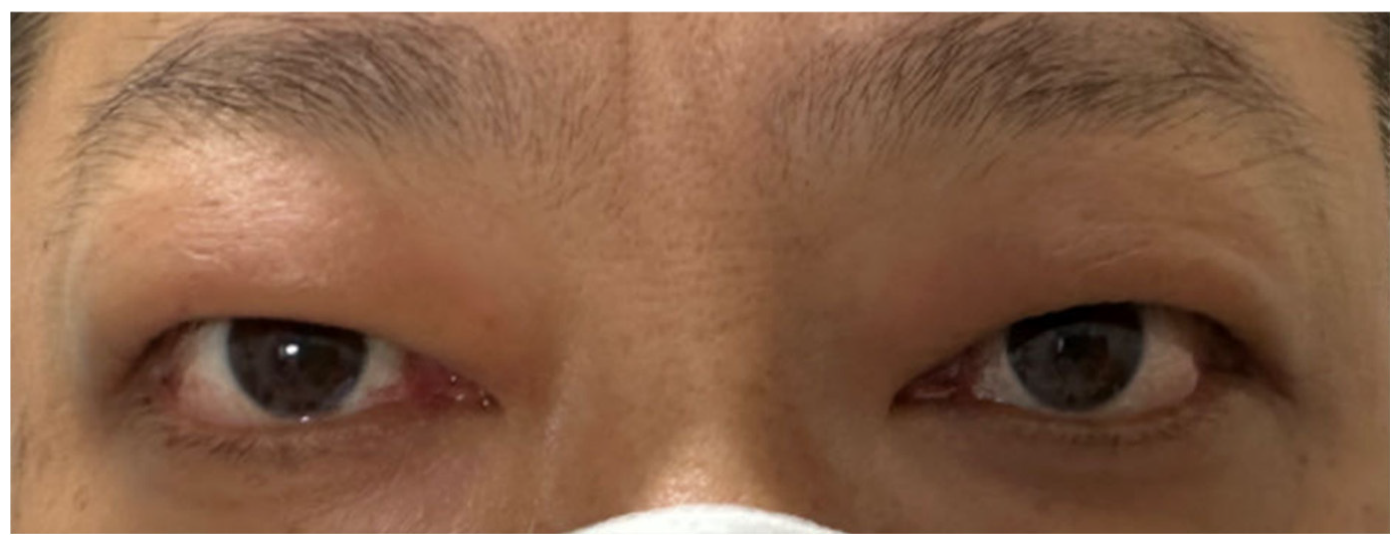 Diagnostics 15 02764 g003