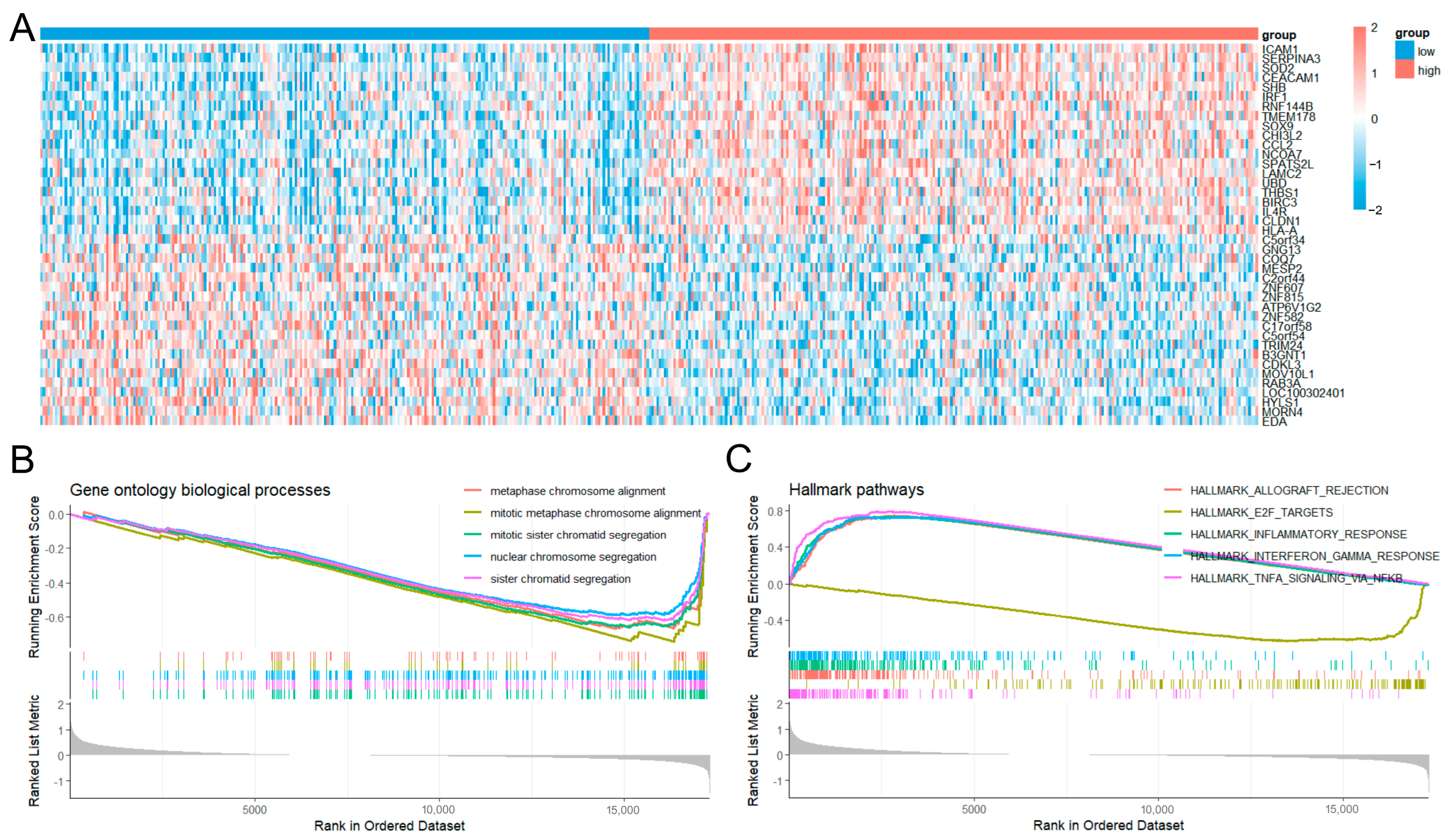 Diagnostics 15 02767 g004 Diagnostics 15 02767 g004
