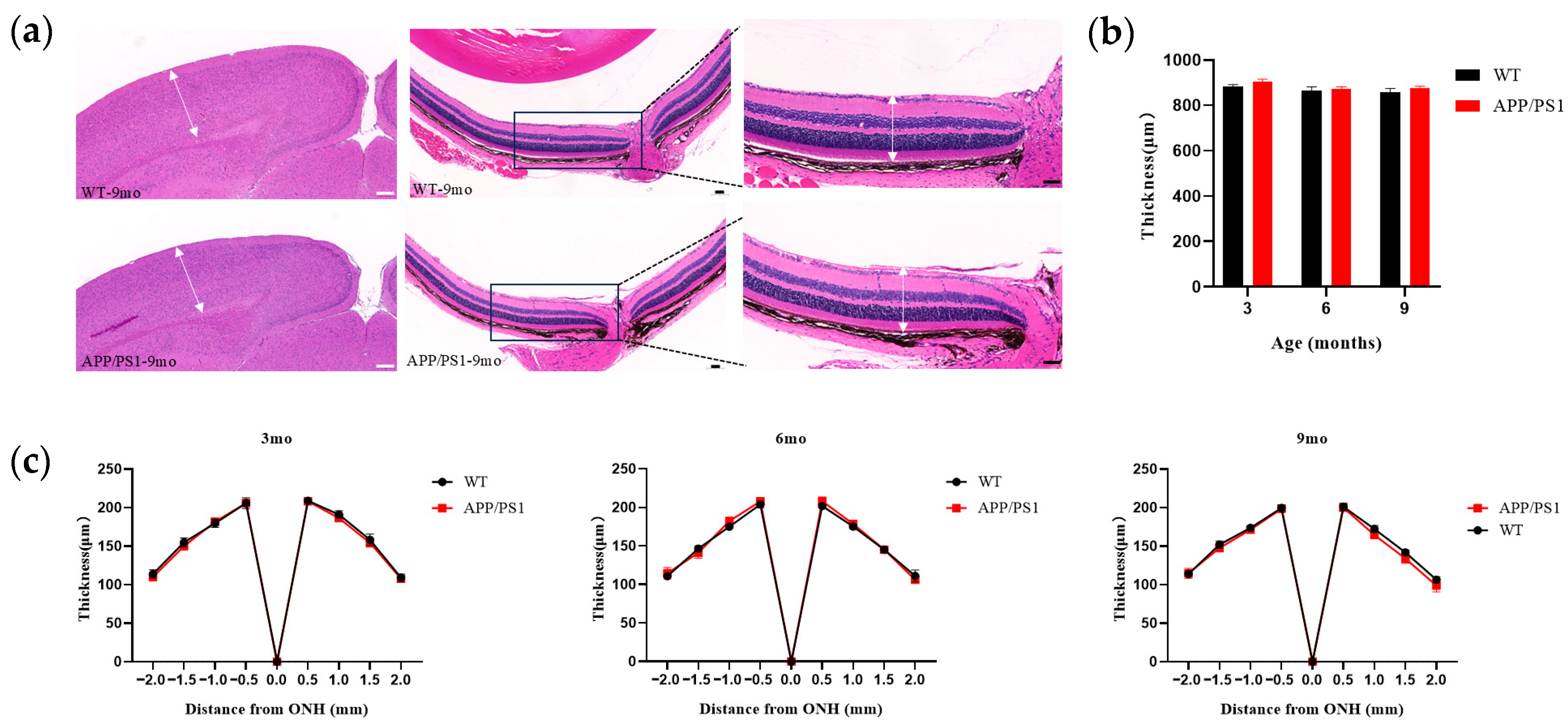 Diagnostics 15 02768 g005