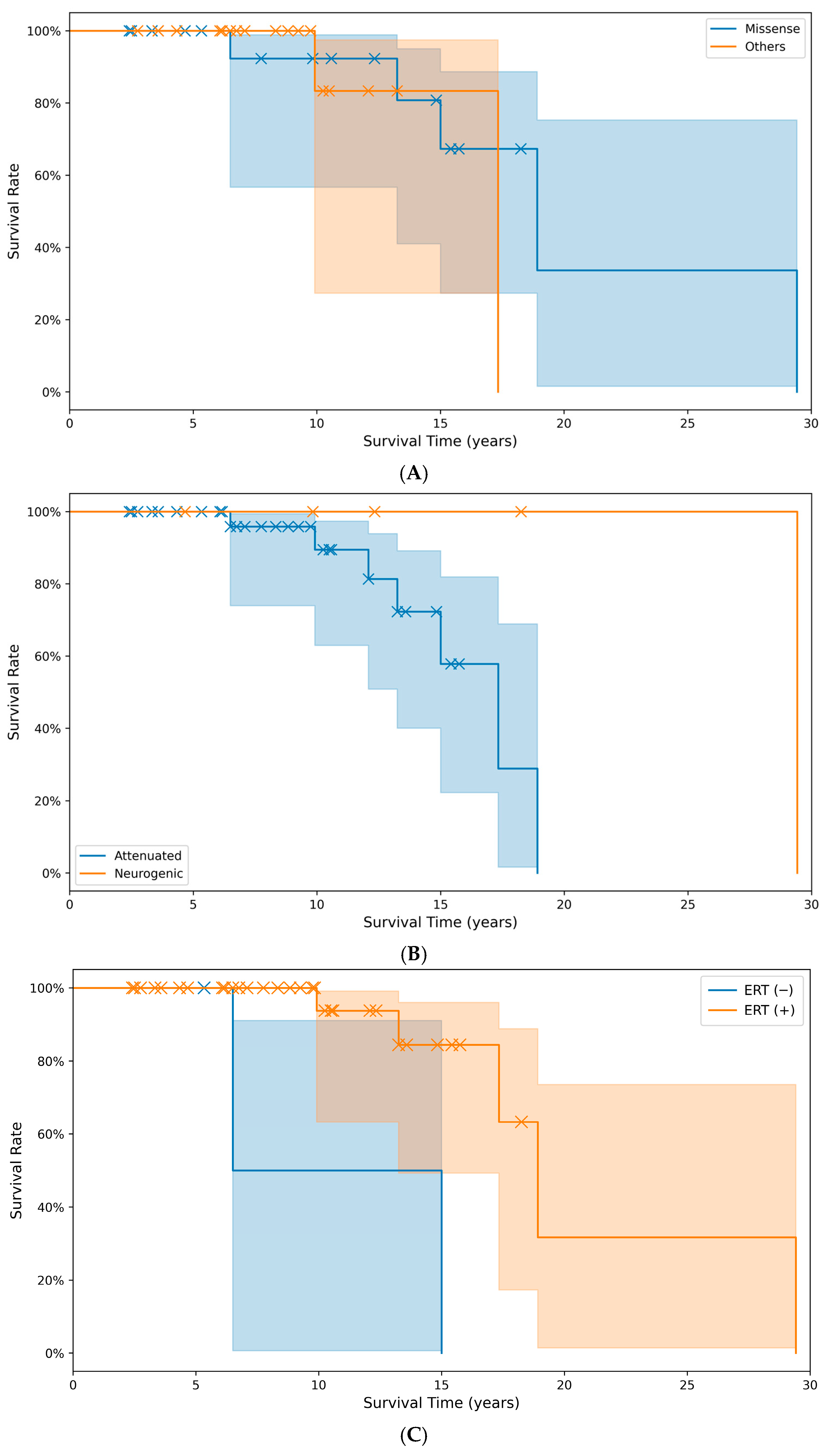 Diagnostics 15 02773 g003