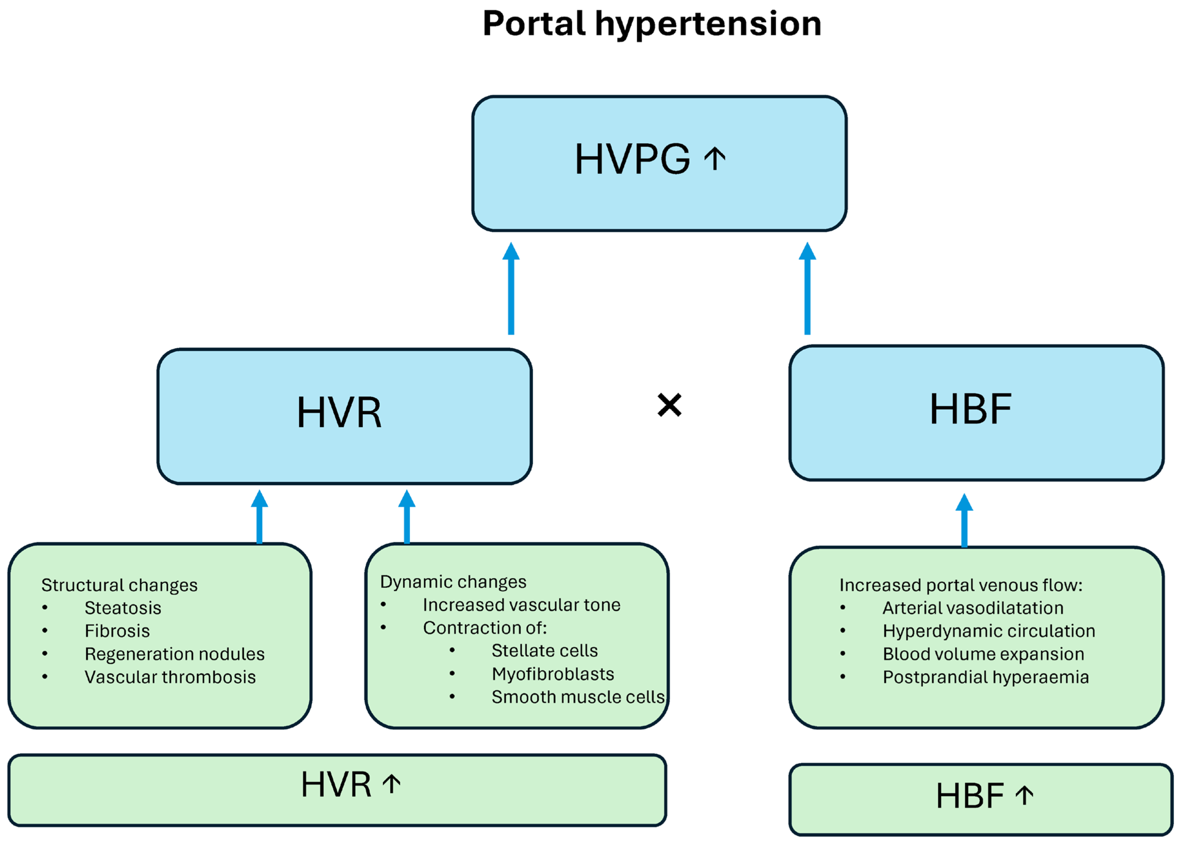 Diagnostics 15 02774 g001