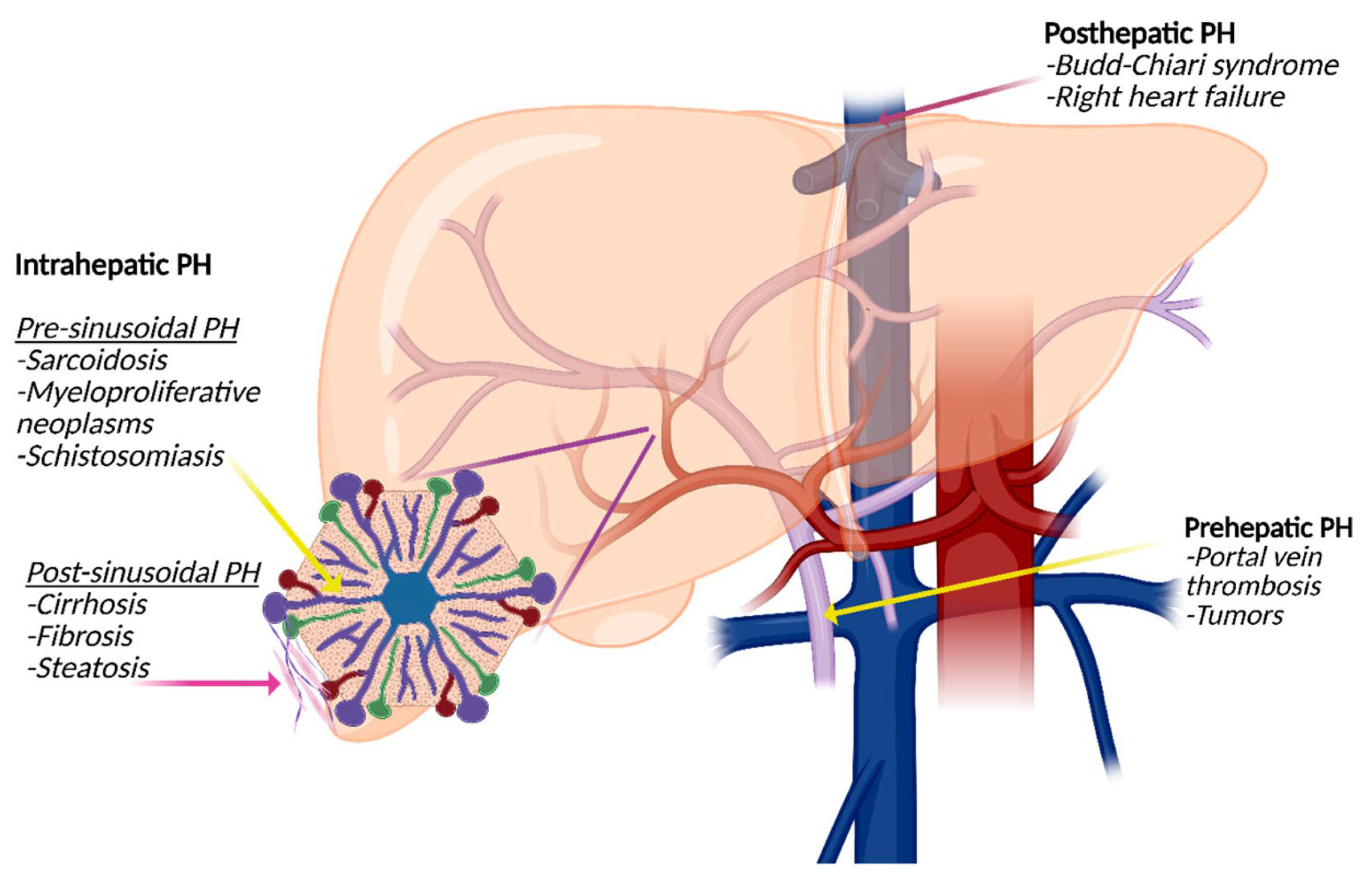 Diagnostics 15 02774 g002