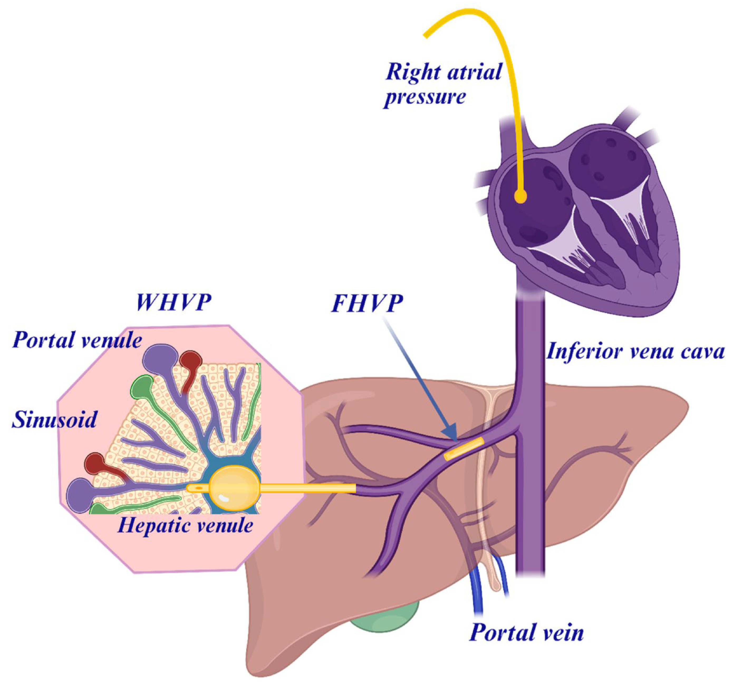 Diagnostics 15 02774 g003