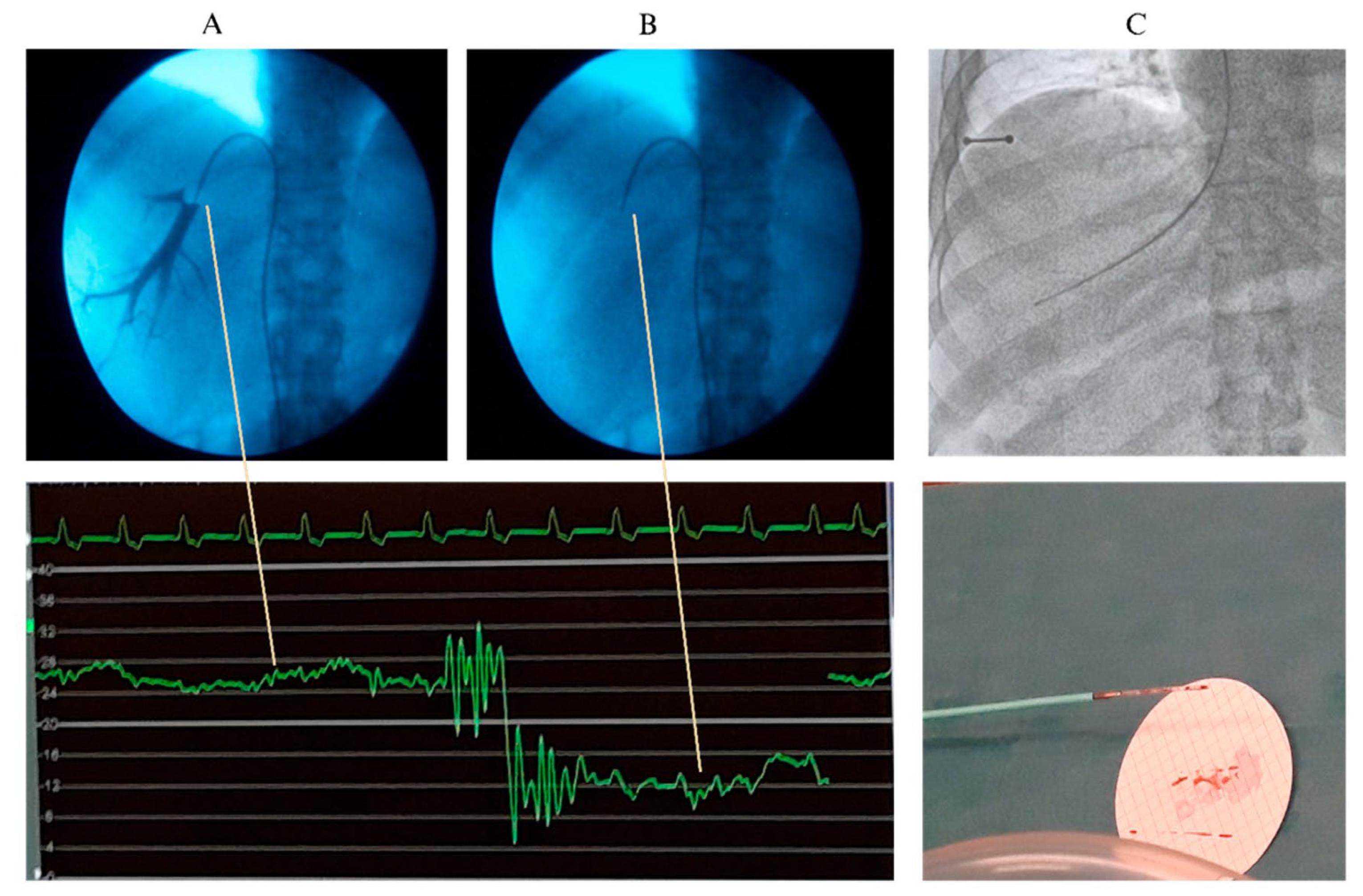 Diagnostics 15 02774 g004