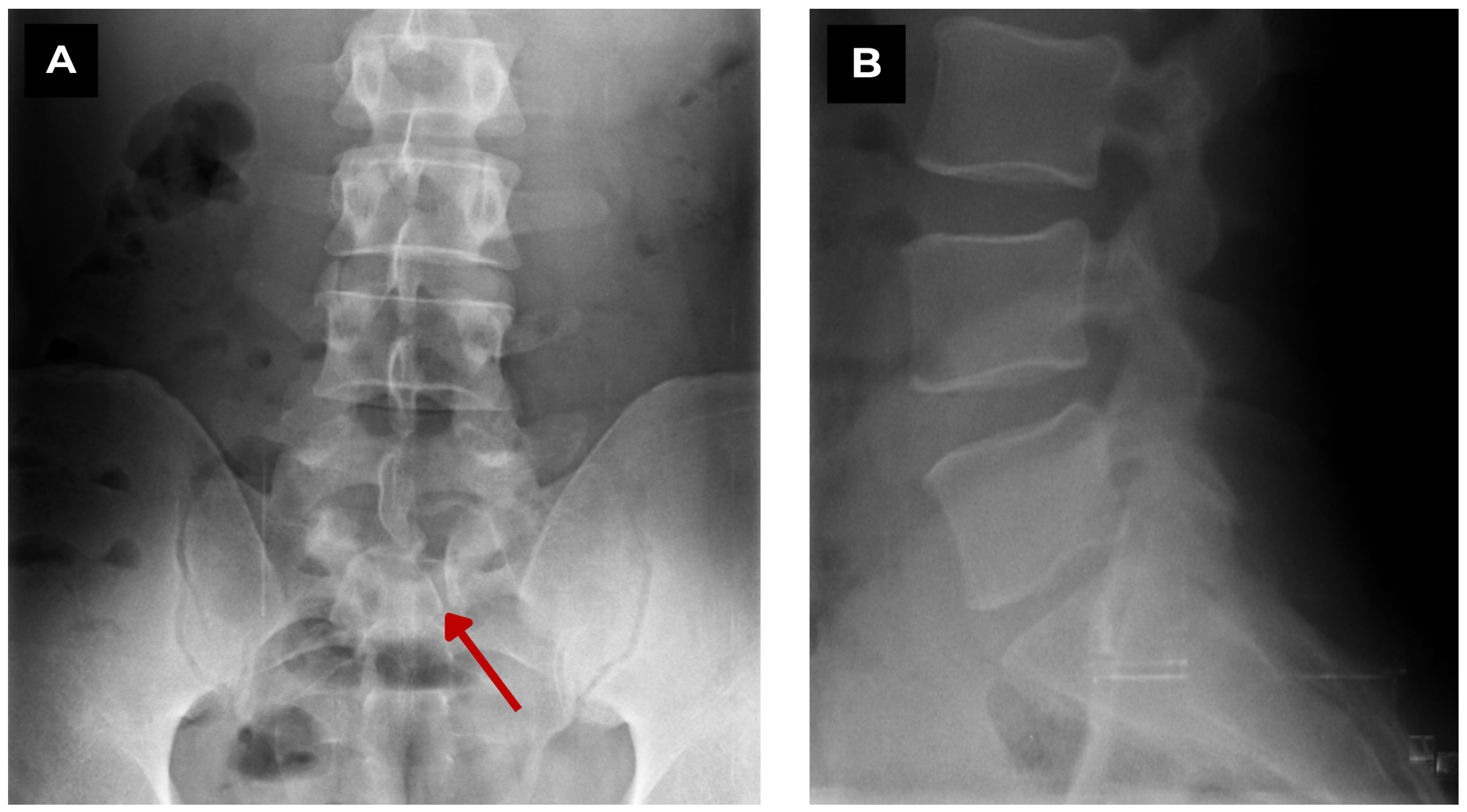 Diagnostics 15 02775 g001 Diagnostics 15 02775 g001