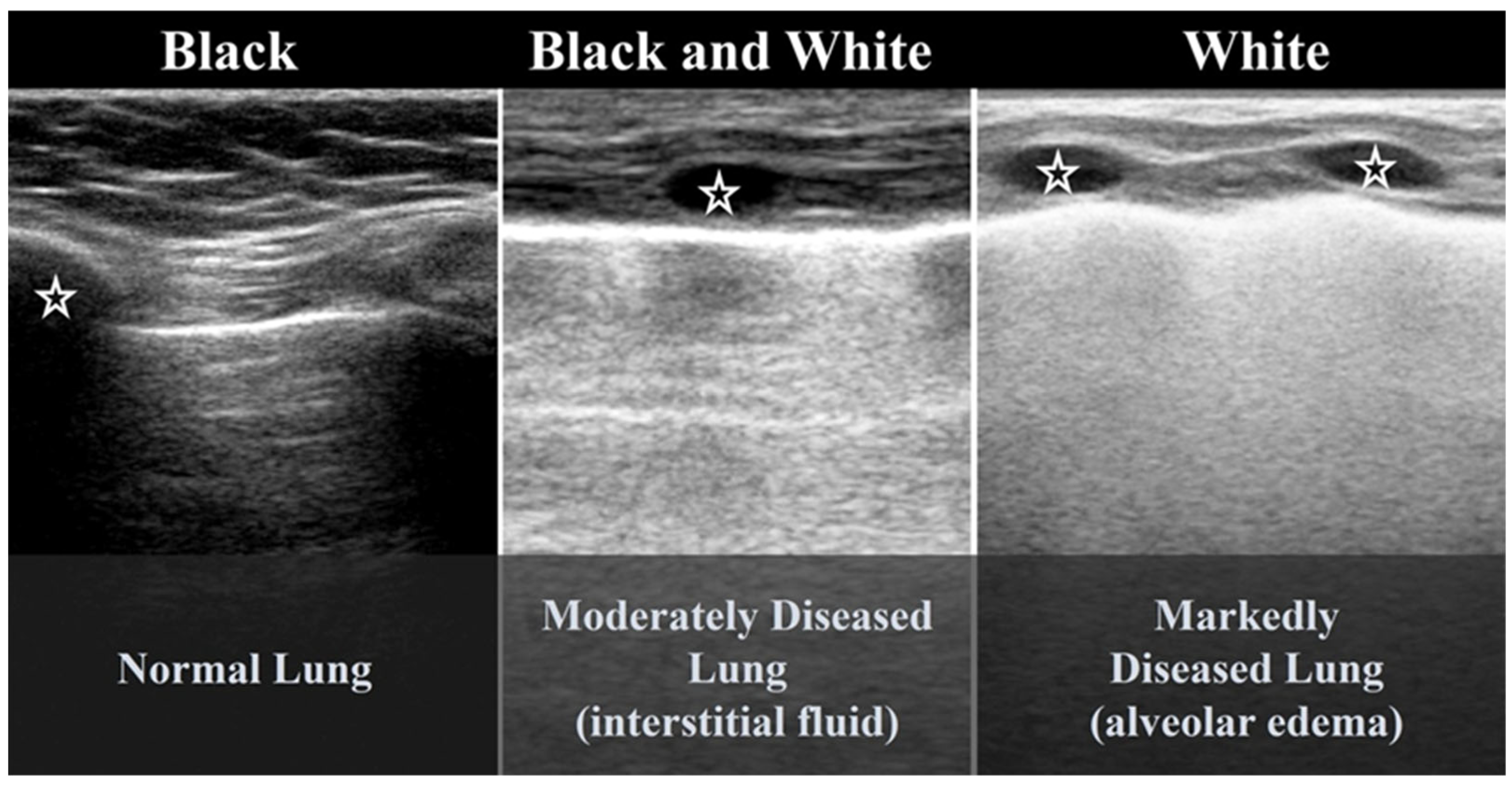 Diagnostics 15 02782 g003 Diagnostics 15 02782 g003
