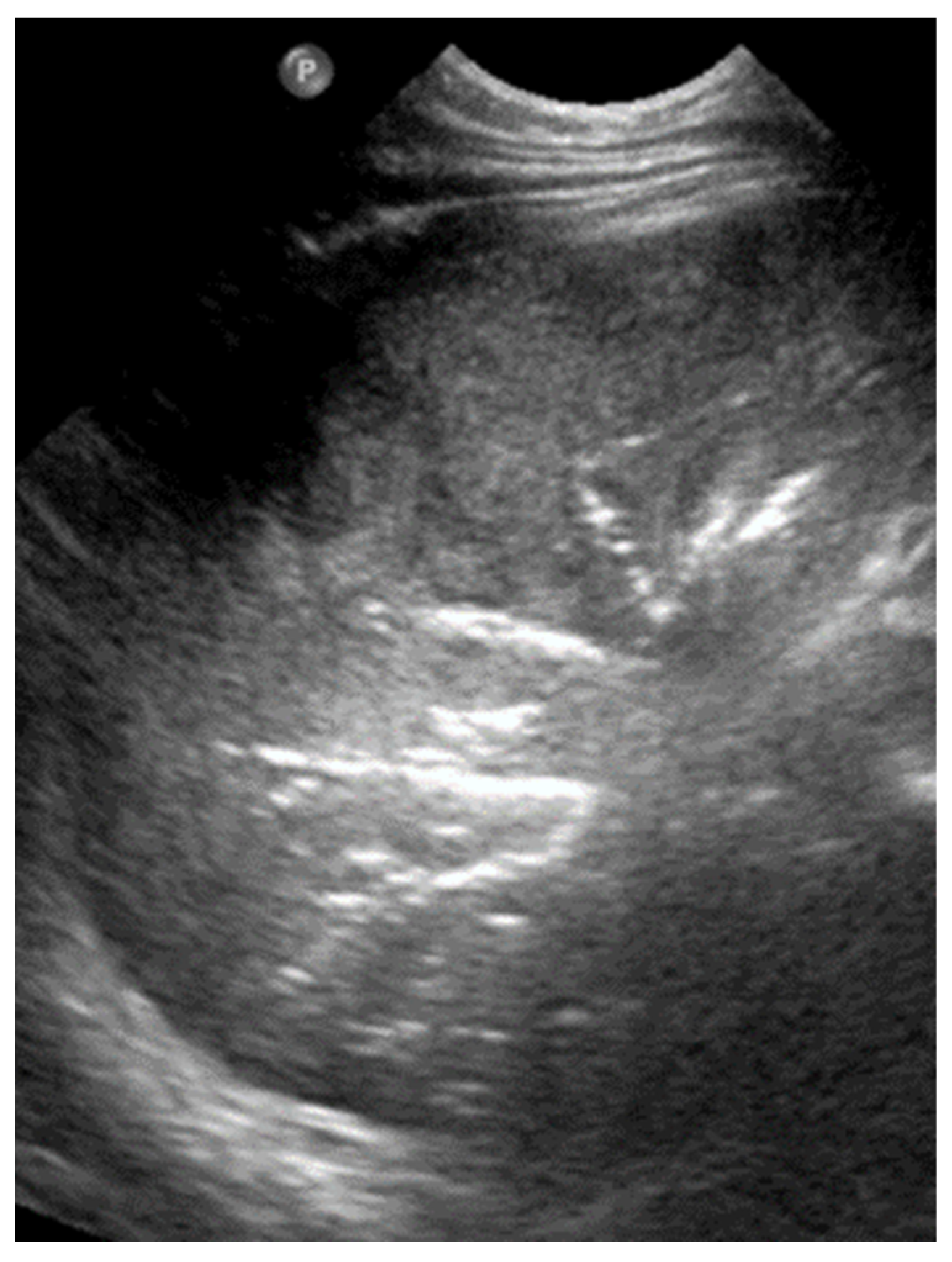 Diagnostics 15 02782 g020 Diagnostics 15 02782 g020