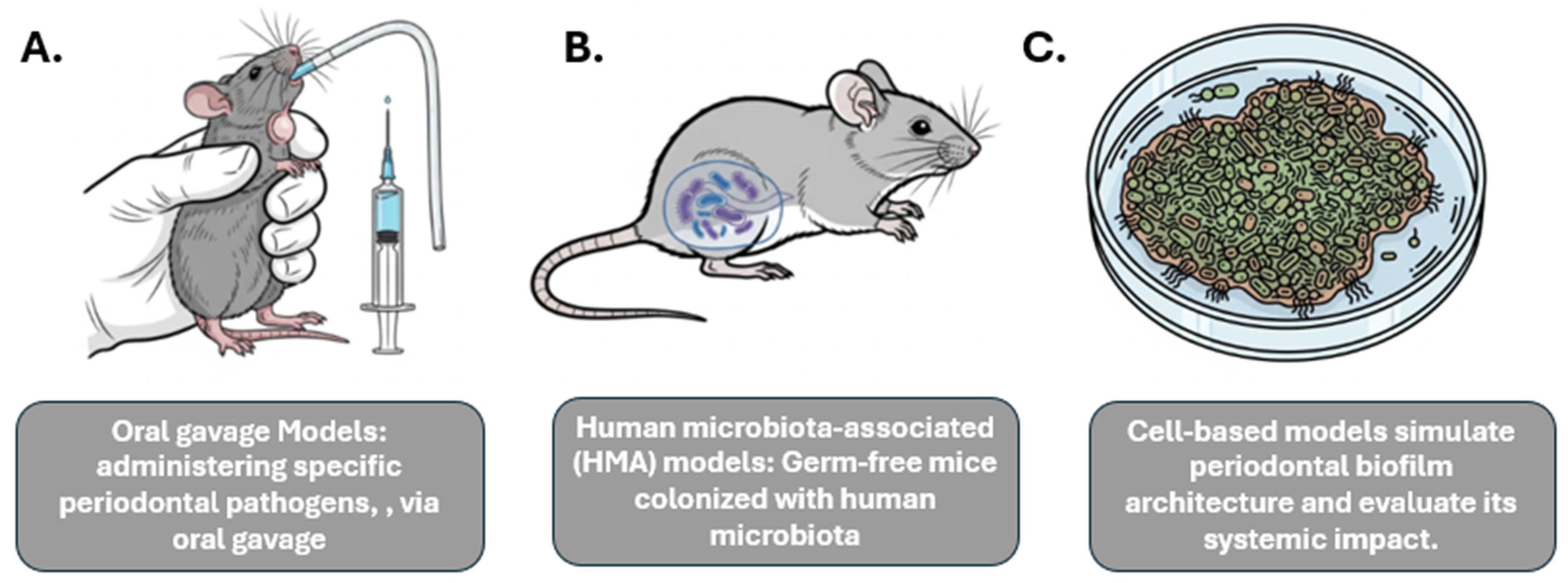 Diagnostics 15 02784 g001 Diagnostics 15 02784 g001