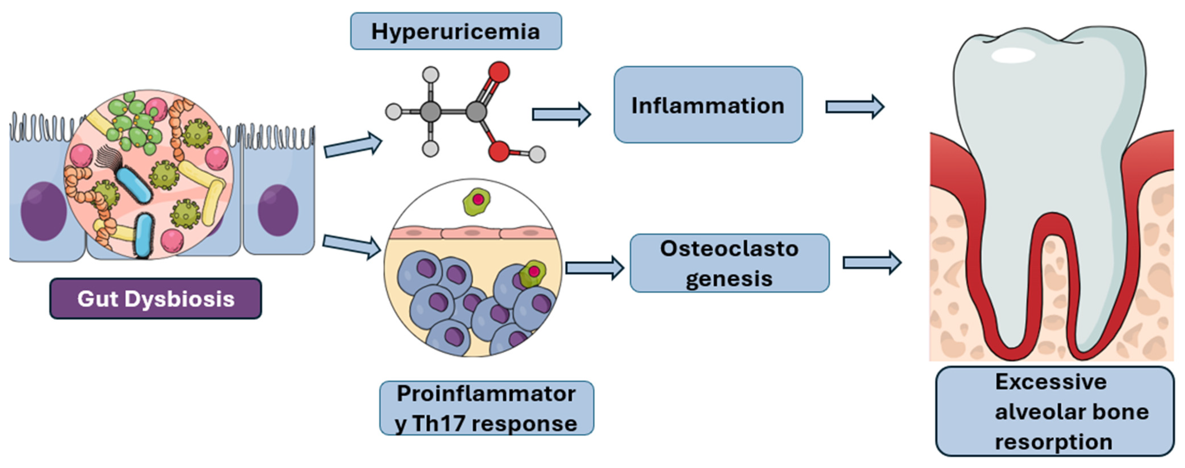 Diagnostics 15 02784 g002 Diagnostics 15 02784 g002