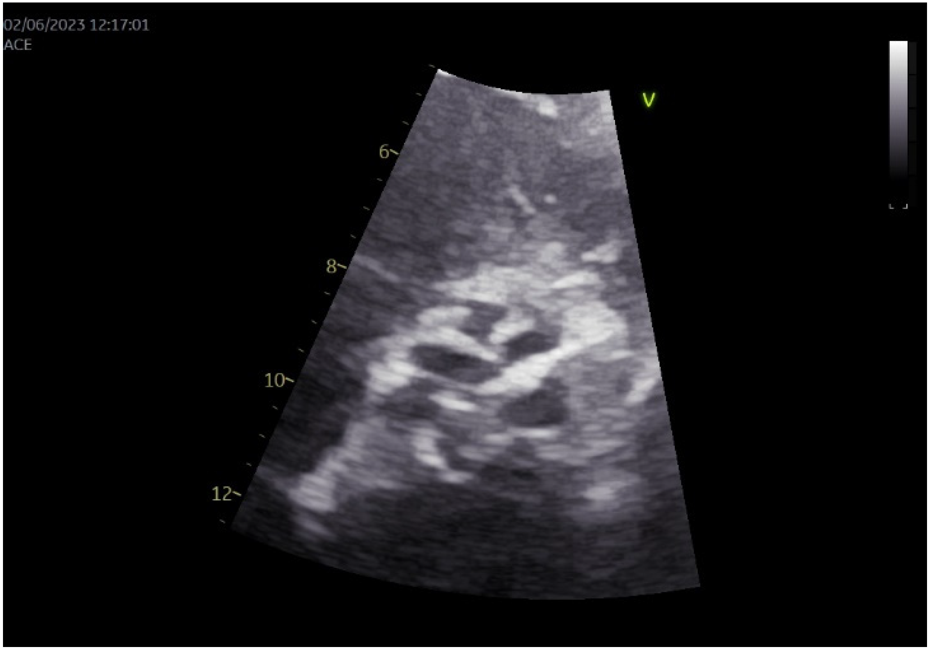 Diagnostics 15 02785 g001