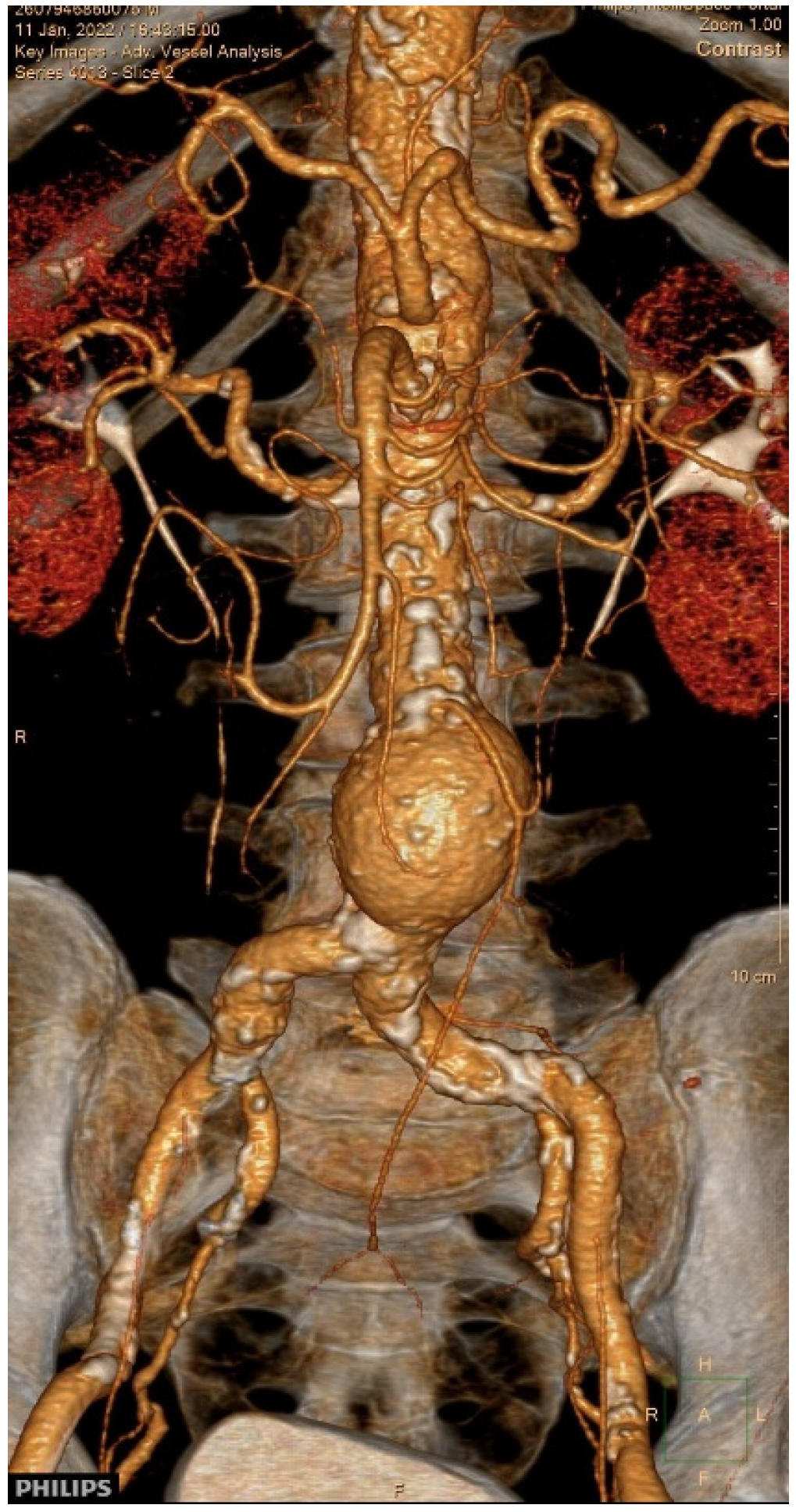 Diagnostics 15 02785 g002