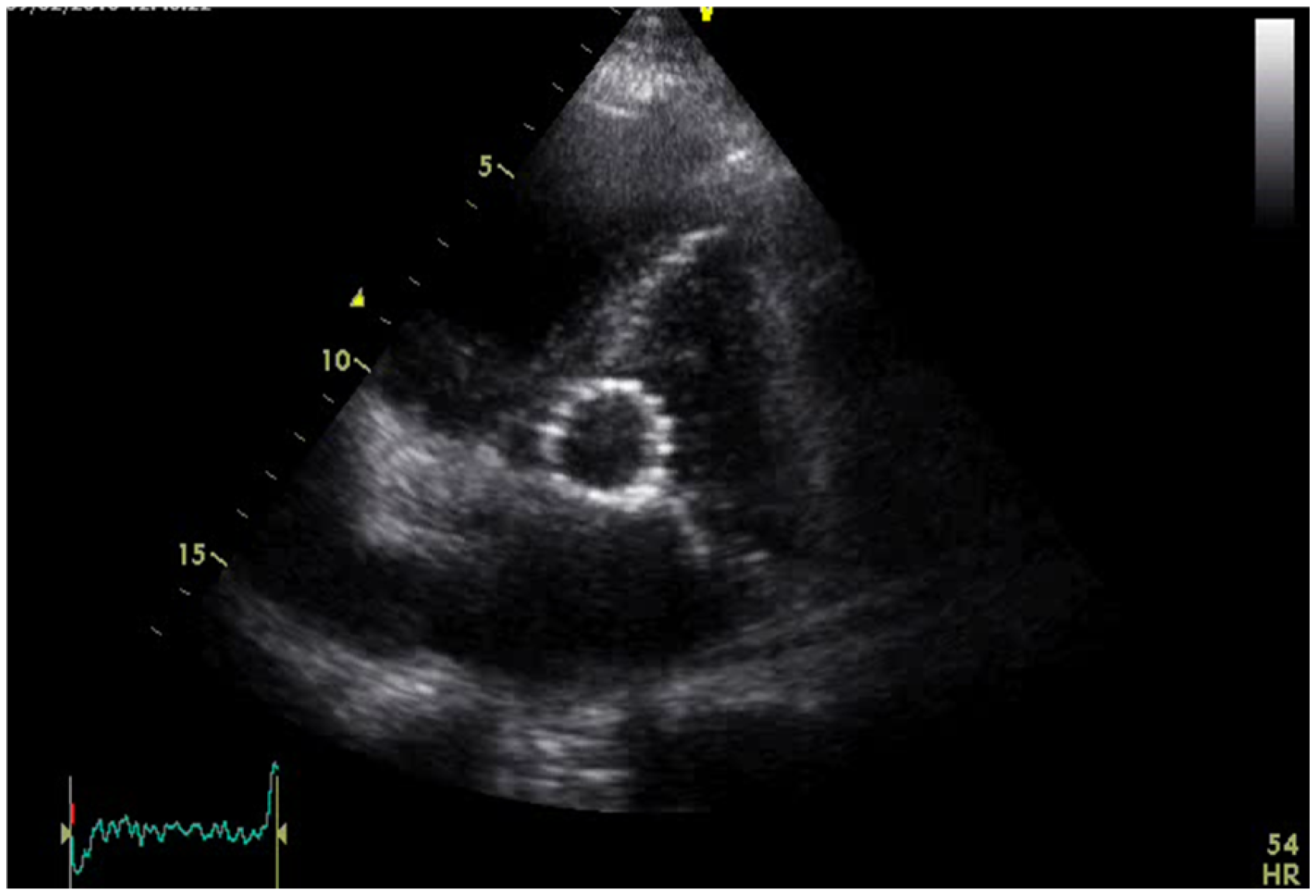 Diagnostics 15 02785 g003